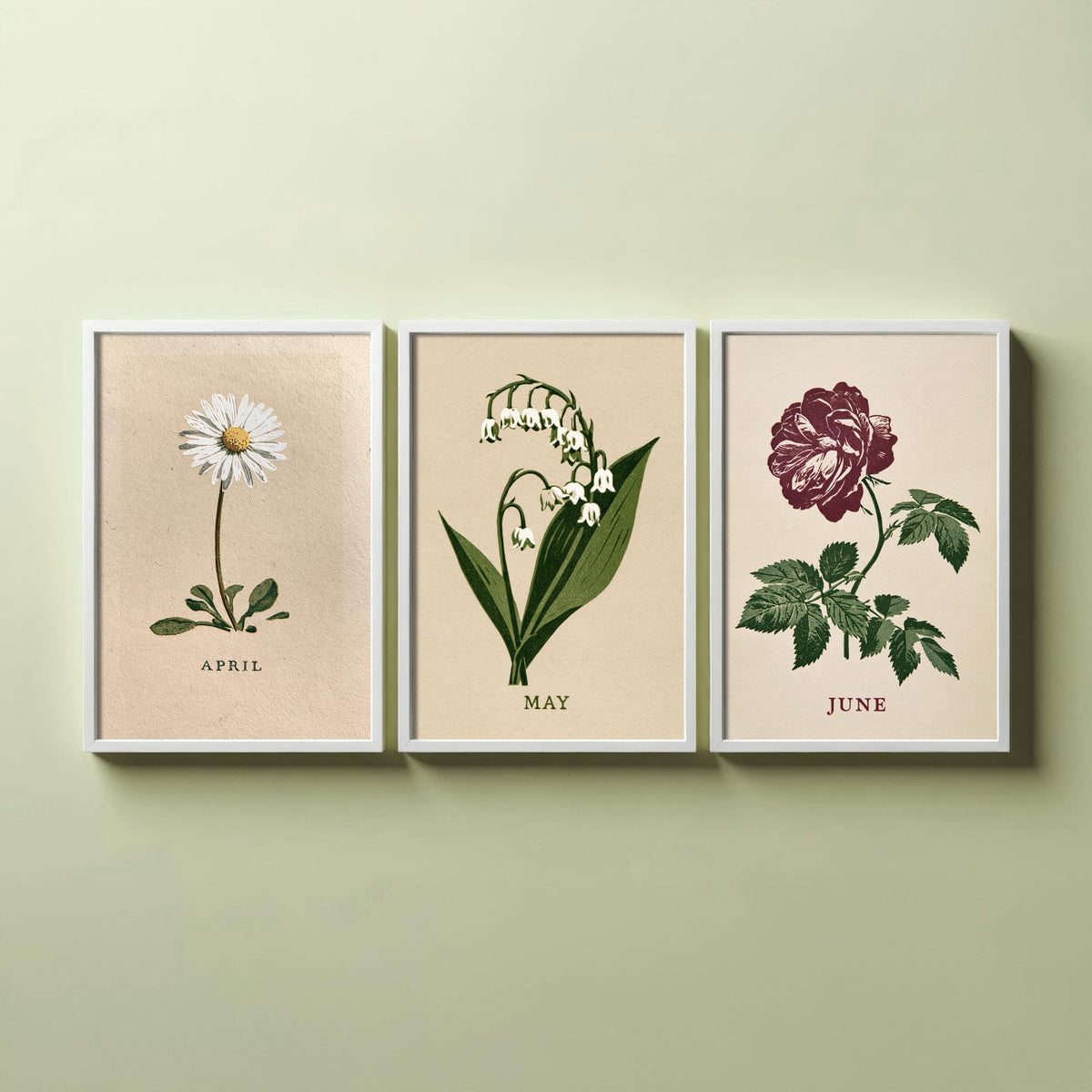 April to June Birth Flower Set of Three Art Prints - Daisy, Lily of the Valley, Rose - Bold Block Print Botanical Illustration Posters
