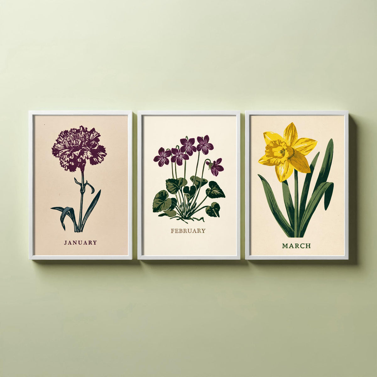 January to March Birth Flower Set of Three Art Prints - Carnation, Violet, Daffodil - Bold Block Print Botanical Illustration Posters