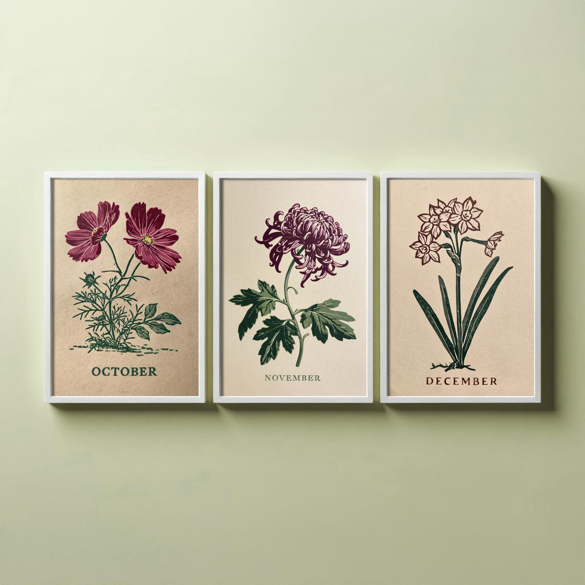 October to December Birth Flower Set of Three Art Prints - Cosmos, Chrysanthemum, Narcissus - Bold Block Print Illustration Posters
