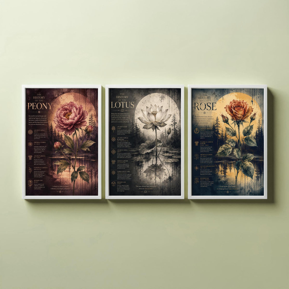 Flower History Set of Three Art Prints - 3 Peony Lotus Rose Botanical Posters - Vintage Wall Art Gift Illustration Educational