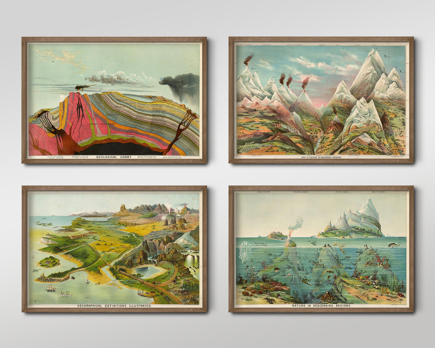 Set of Four Levi Walter Yaggy Prints - 4 Classic Paintings - Photo Poster Wall Art Gift Giclée Museum Quality - Geological Chart, Sea Life