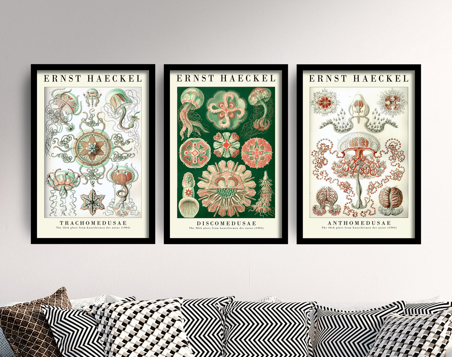 Set of Three Vintage Ernst Haeckel Marine Prints - The Jellyfish Collection - Painting Poster Wall Art Gift Botany Botanical Jelly Fish