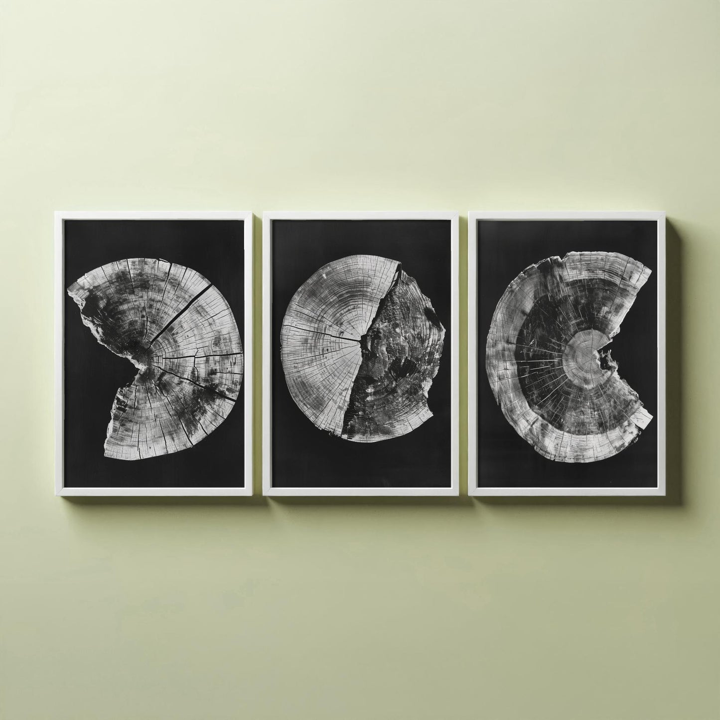 Inverted White Cracked Tree Ring Set of Three Art Prints Poster Illustration V1