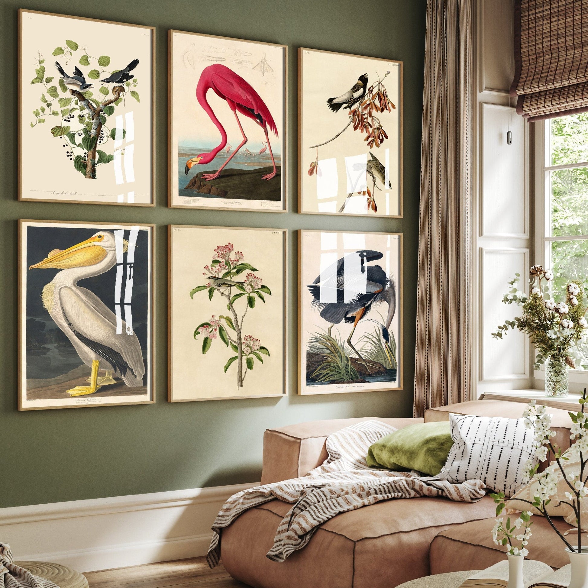 Set of Six John James Audubon Prints - 6 Classic Paintings - Poster Wall Art Giclée - Flamingo, American White Pelican, Great Blue Heron