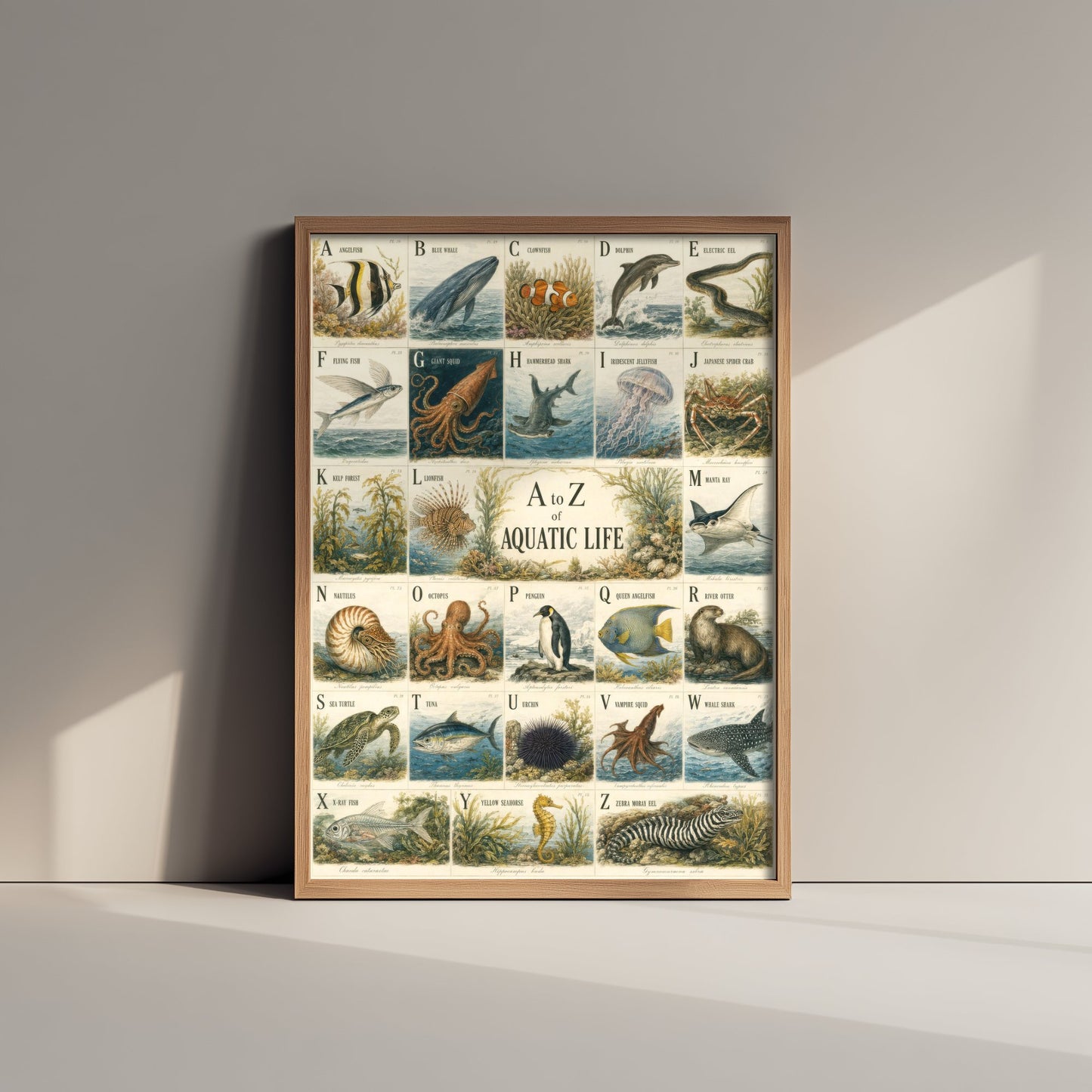 A to Z of Aquatic Life Art Print - Vintage Natural History Illustration - Ocean Alphabet Poster 3/3