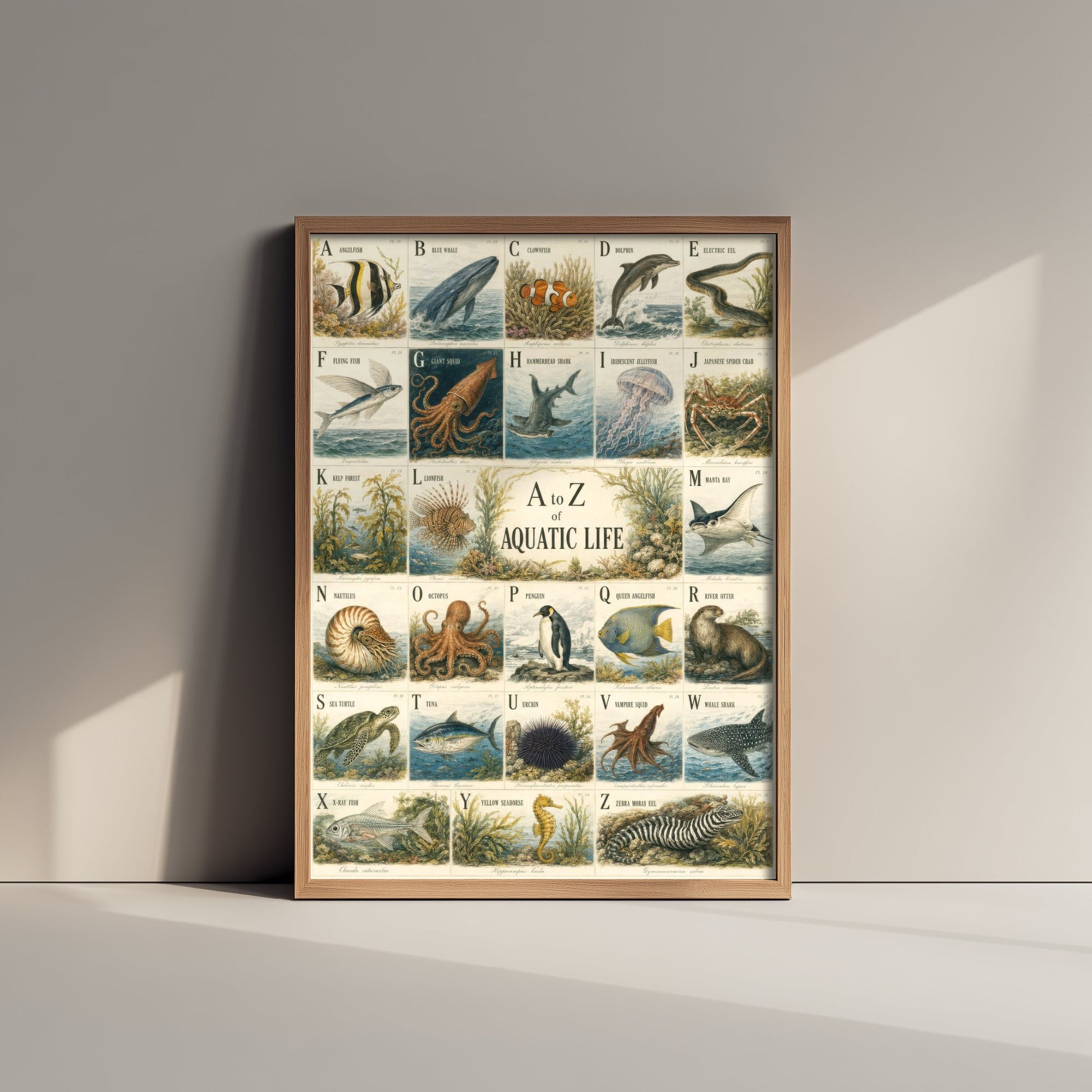 A to Z of Aquatic Life Art Print - Vintage Natural History Illustration - Ocean Alphabet Poster 3/3