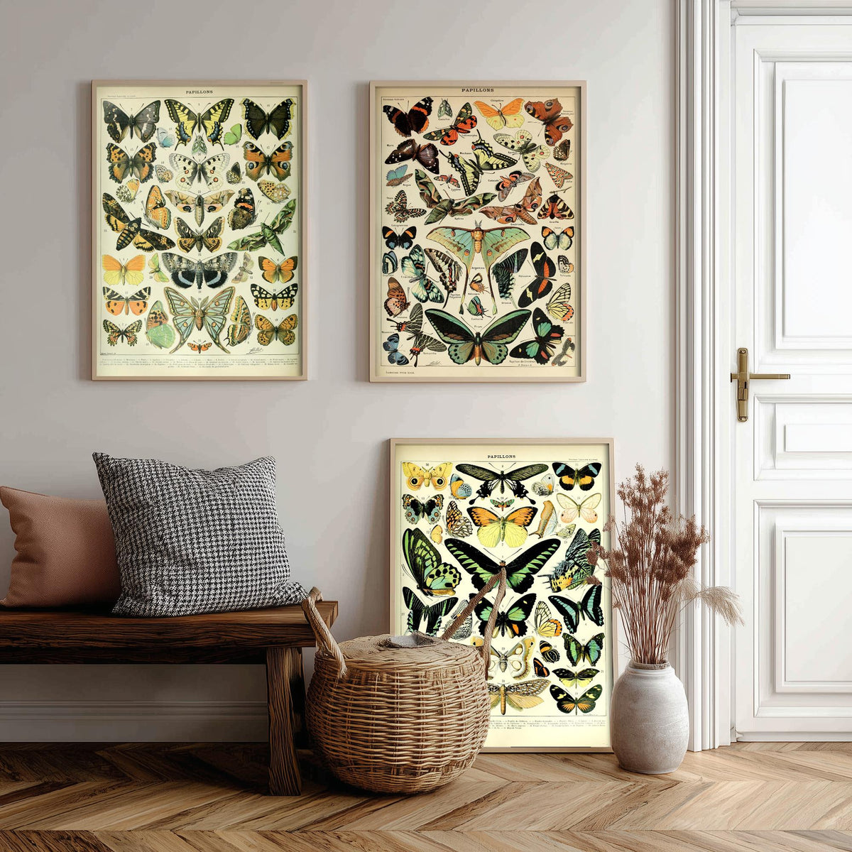 Adolphe Millot Butterflies Set of Three Art Prints - 3 Vintage French Papillons Plates - Natural History Poster Illustration V1
