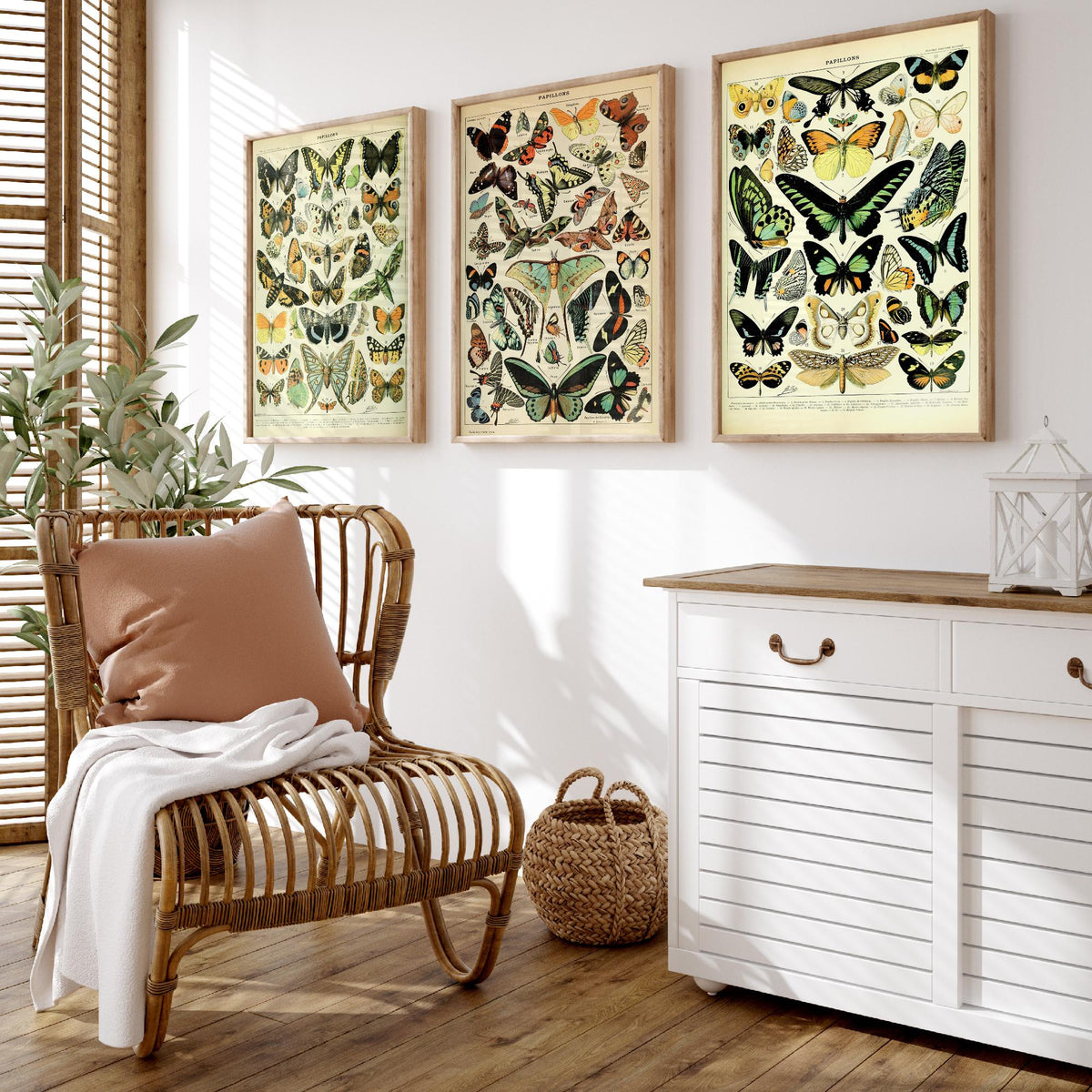 Adolphe Millot Butterflies Set of Three Art Prints - 3 Vintage French Papillons Plates - Natural History Poster Illustration V1