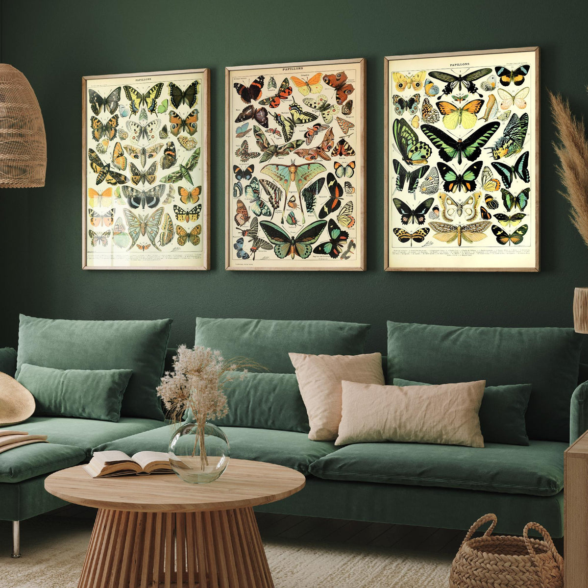 Adolphe Millot Butterflies Set of Three Art Prints - 3 Vintage French Papillons Plates - Natural History Poster Illustration V1