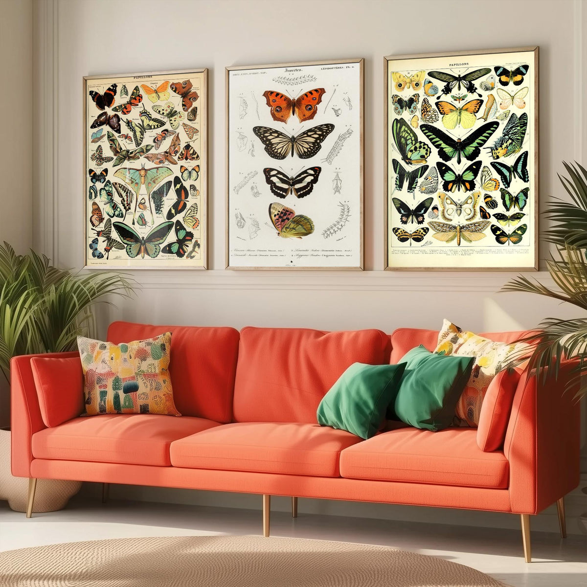 Adolphe Millot Butterflies Set of Three Art Prints - Papillons Plates and Lepidoptera Engraving - Vintage Poster Illustration V2
