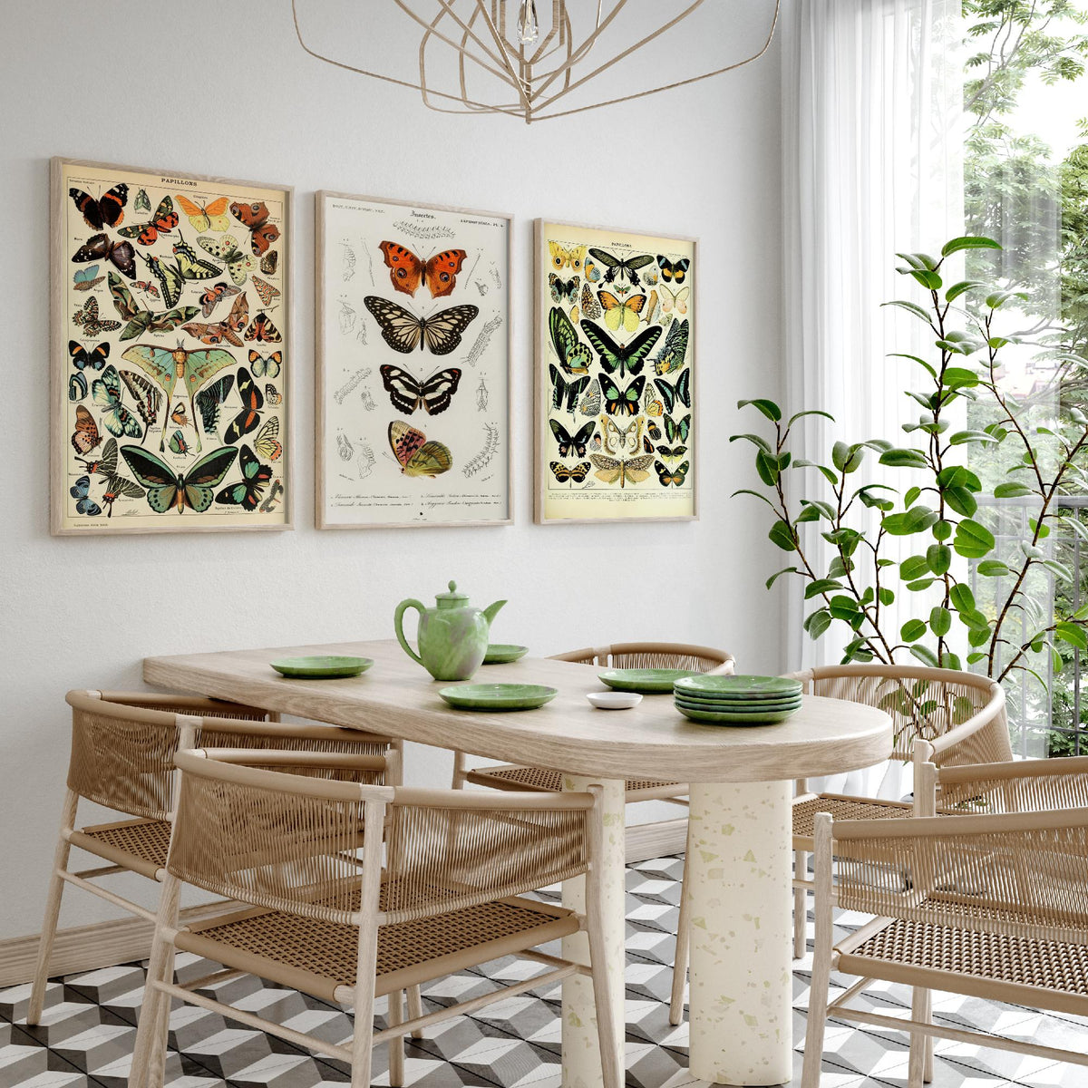 Adolphe Millot Butterflies Set of Three Art Prints - Papillons Plates and Lepidoptera Engraving - Vintage Poster Illustration V2
