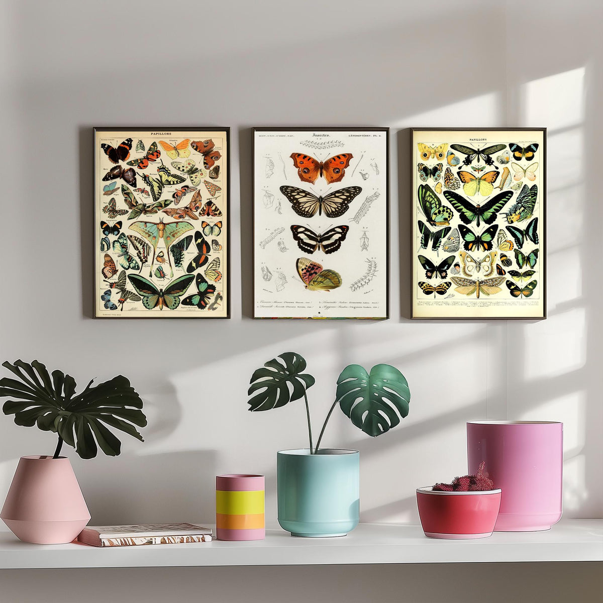 Adolphe Millot Butterflies Set of Three Art Prints - Papillons Plates and Lepidoptera Engraving - Vintage Poster Illustration V2