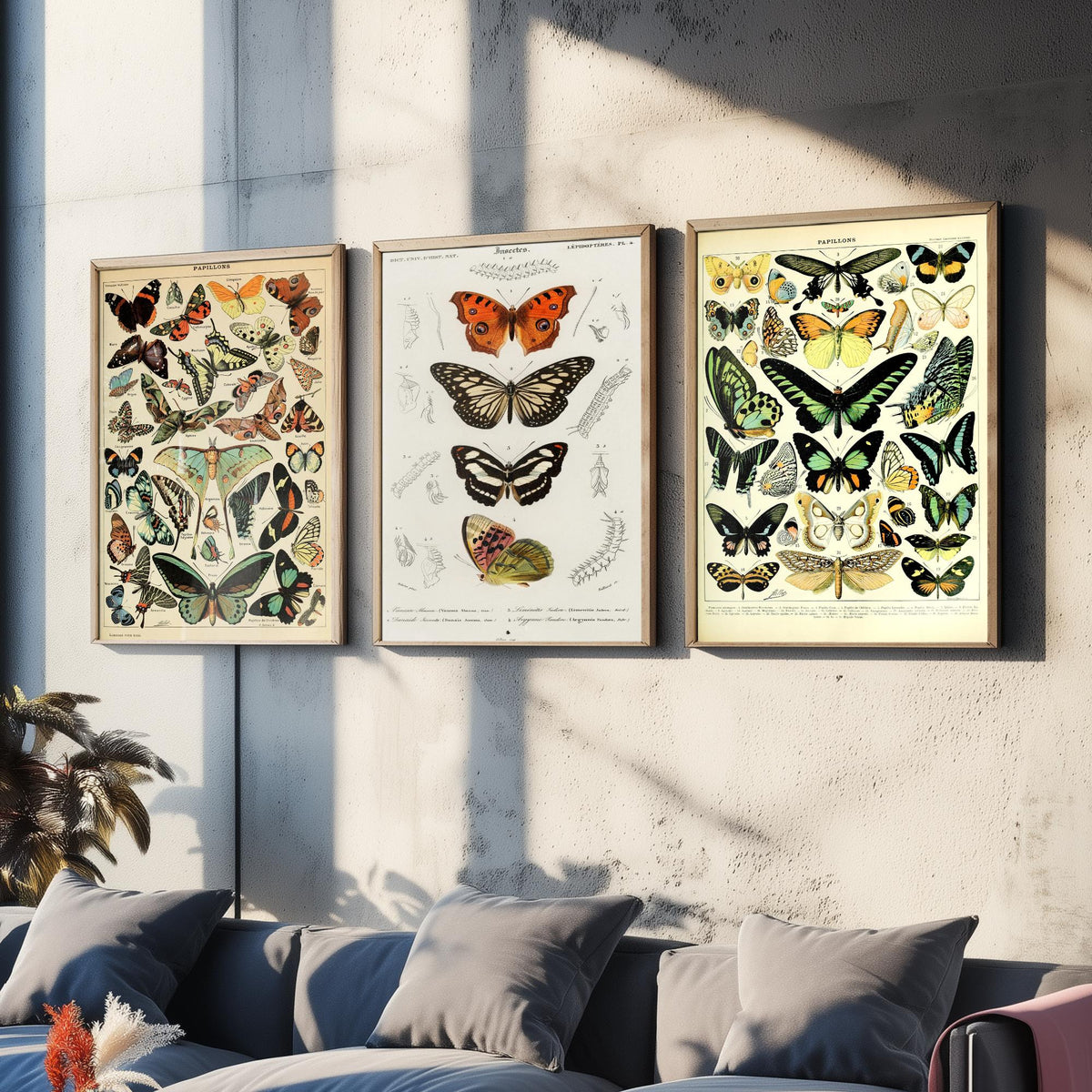 Adolphe Millot Butterflies Set of Three Art Prints - Papillons Plates and Lepidoptera Engraving - Vintage Poster Illustration V2