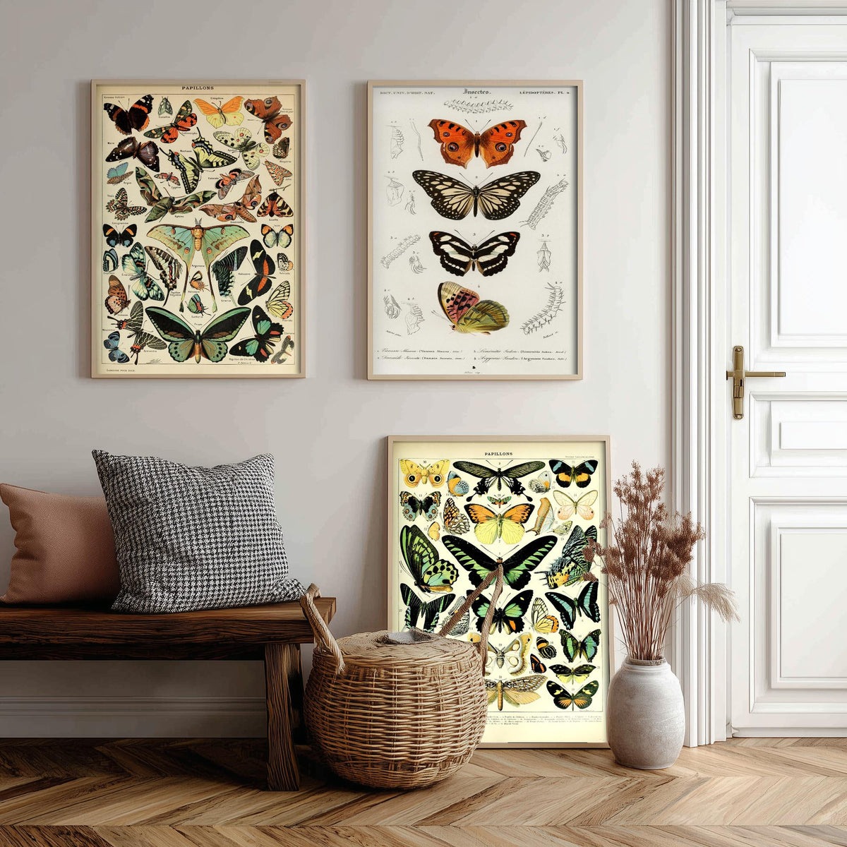 Adolphe Millot Butterflies Set of Three Art Prints - Papillons Plates and Lepidoptera Engraving - Vintage Poster Illustration V2