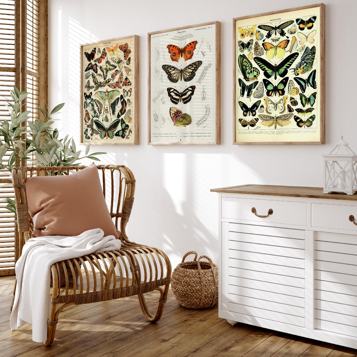 Adolphe Millot Butterflies Set of Three Art Prints - Papillons Plates and Lepidoptera Engraving - Vintage Poster Illustration V2