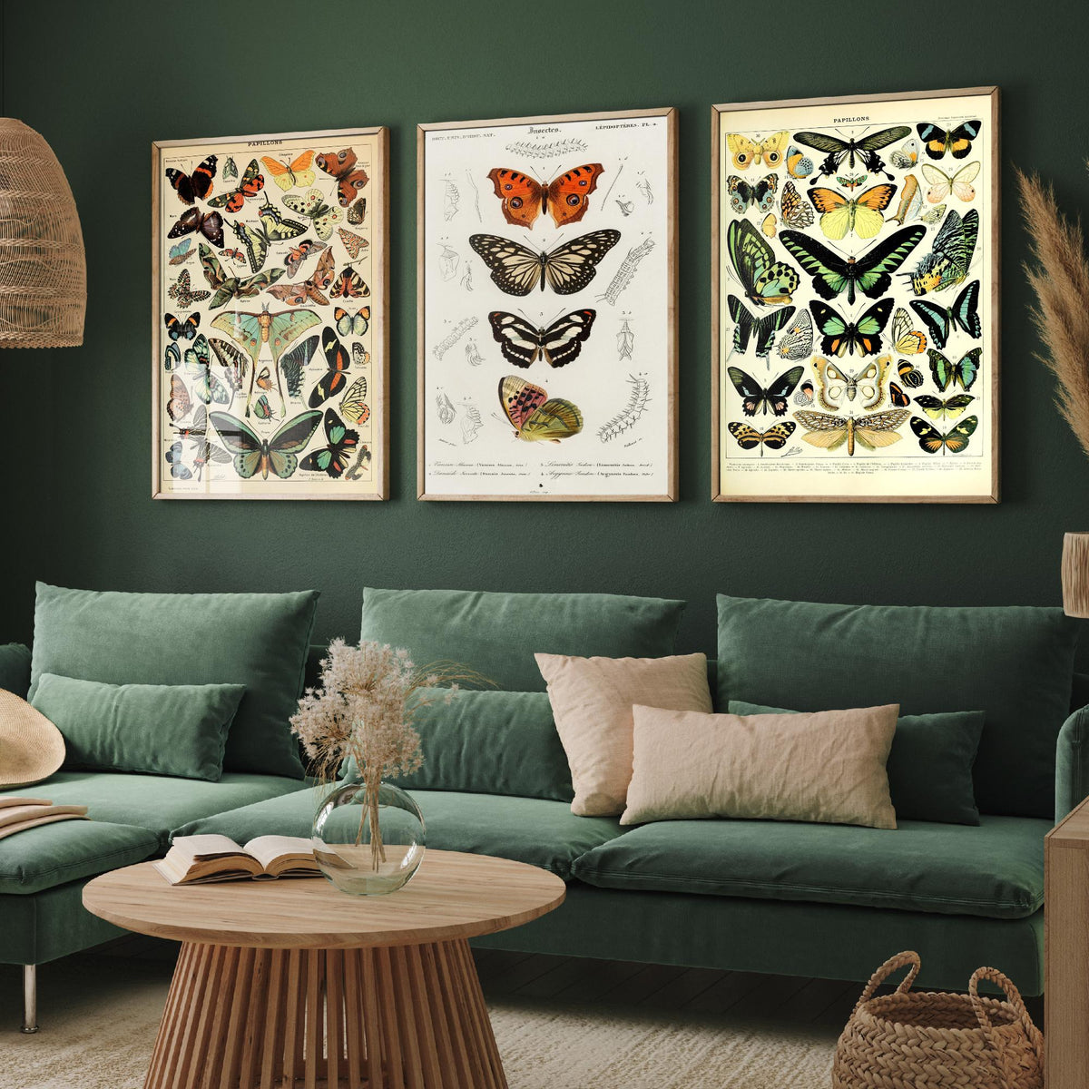 Adolphe Millot Butterflies Set of Three Art Prints - Papillons Plates and Lepidoptera Engraving - Vintage Poster Illustration V2