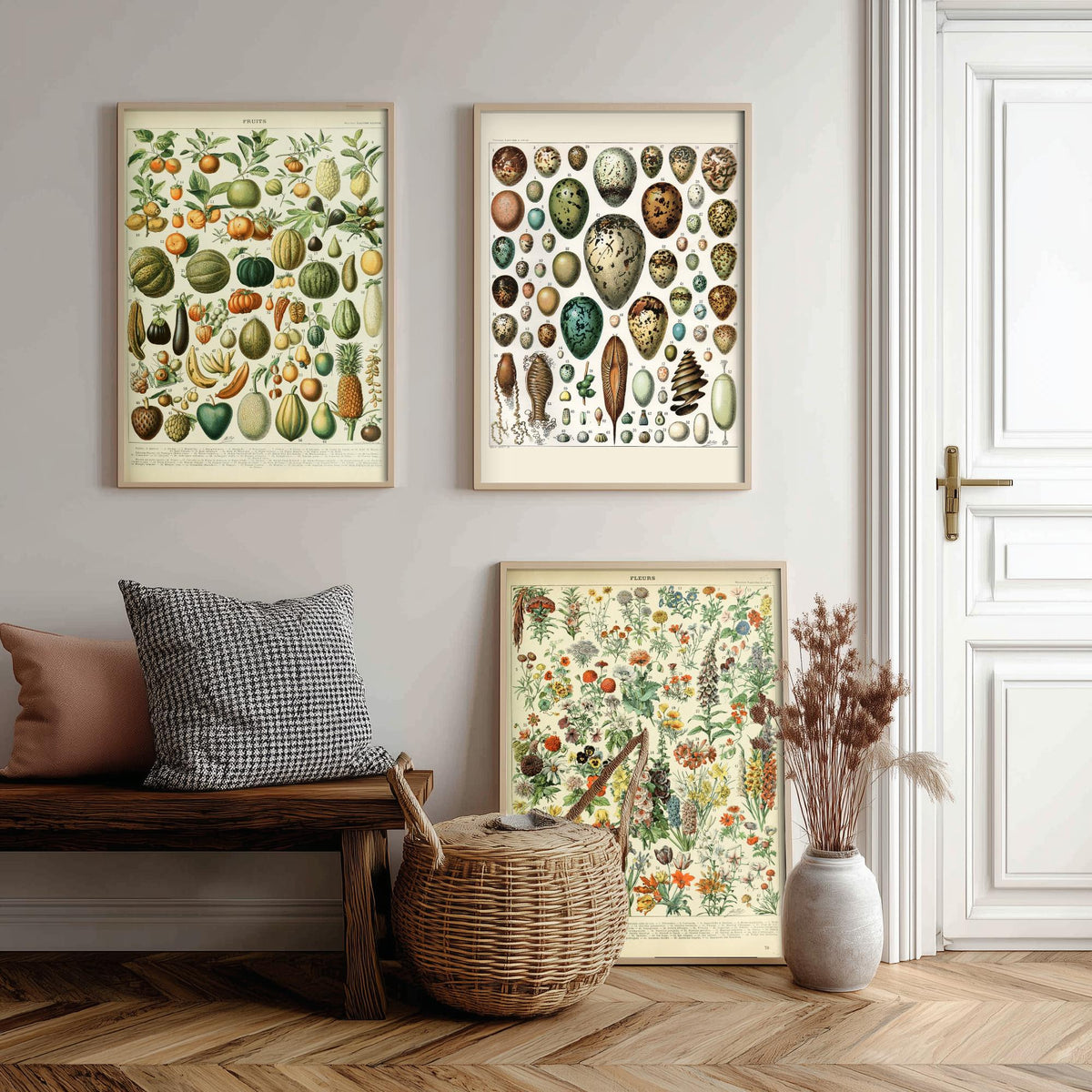 Adolphe Millot Set of Three Art Prints - Fruits, Bird Eggs, Flowers - Vintage French Encyclopedia Plate Poster Illustration