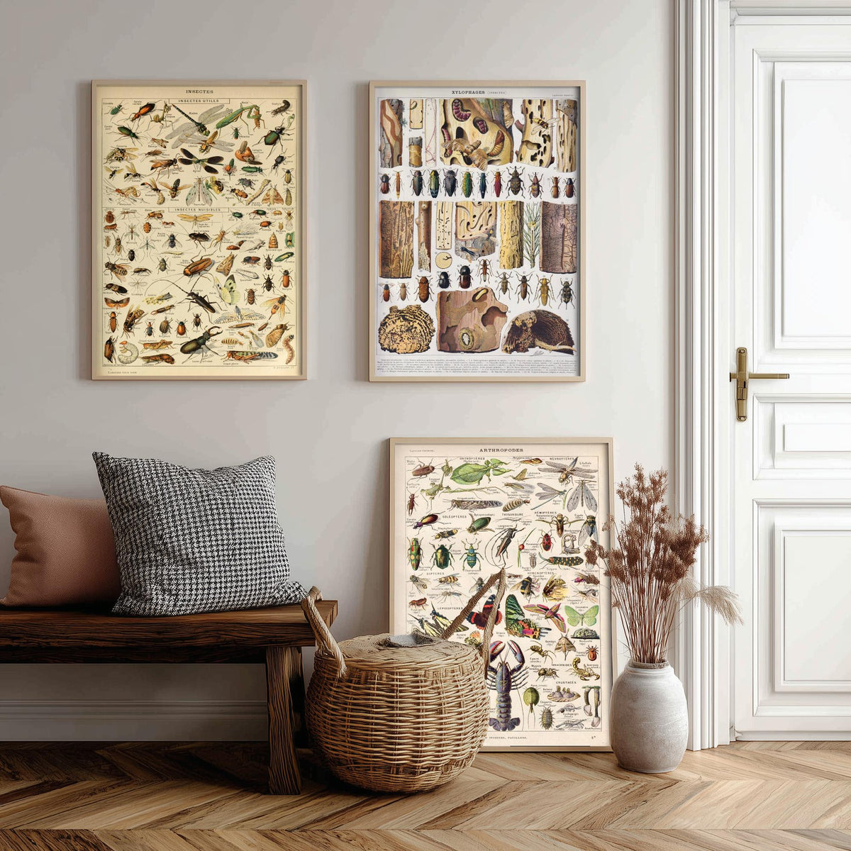 Adolphe Millot Insects Set of Three Art Prints - Insectes, Xylophages, Arthropodes - Vintage Entomology Plate Poster Illustration