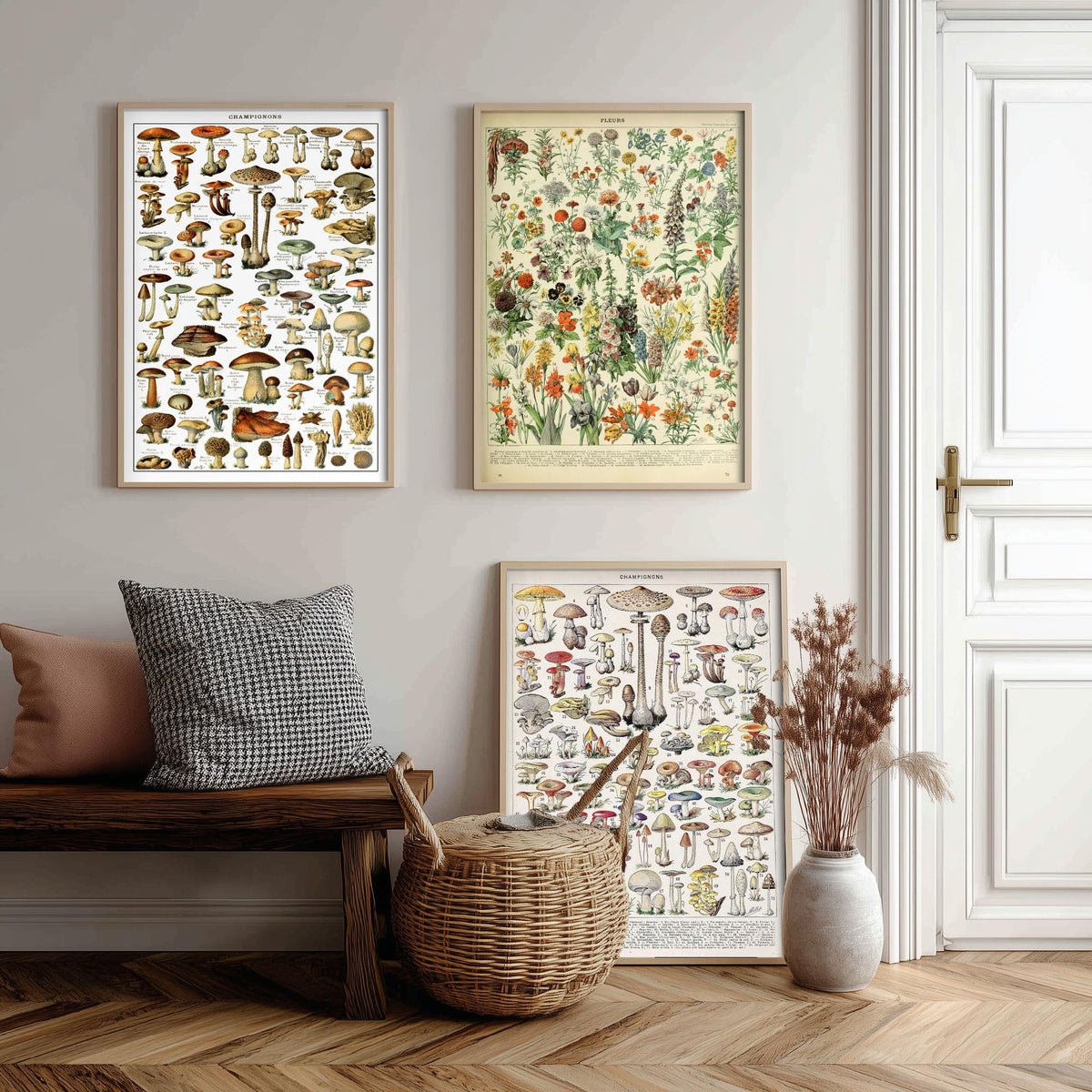 Adolphe Millot Mushrooms and Flowers Set of Three Art Prints - Champignons, Fleurs - Vintage Fungi Poster Illustration