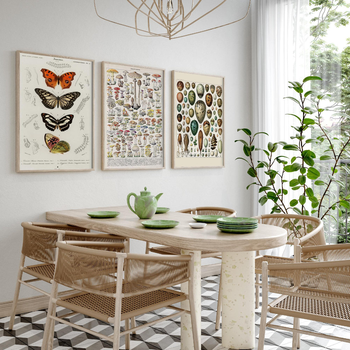 Vintage Natural History Set of Three Art Prints - Butterflies, Millot Mushrooms, Bird Eggs - Antique Plate Poster Illustration