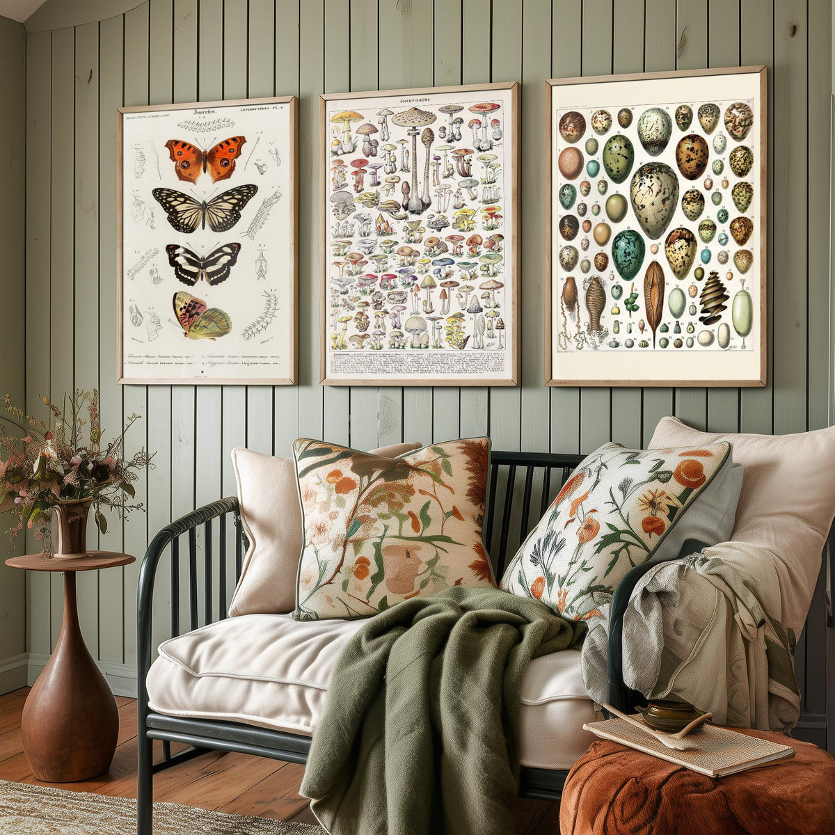 Vintage Natural History Set of Three Art Prints - Butterflies, Millot Mushrooms, Bird Eggs - Antique Plate Poster Illustration