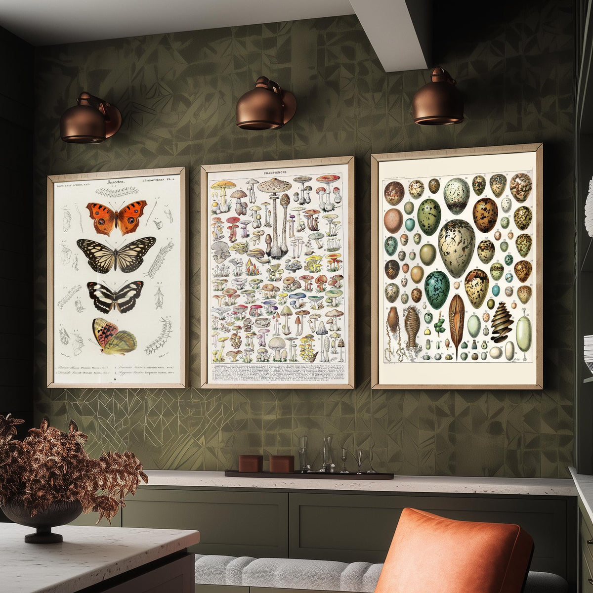 Vintage Natural History Set of Three Art Prints - Butterflies, Millot Mushrooms, Bird Eggs - Antique Plate Poster Illustration
