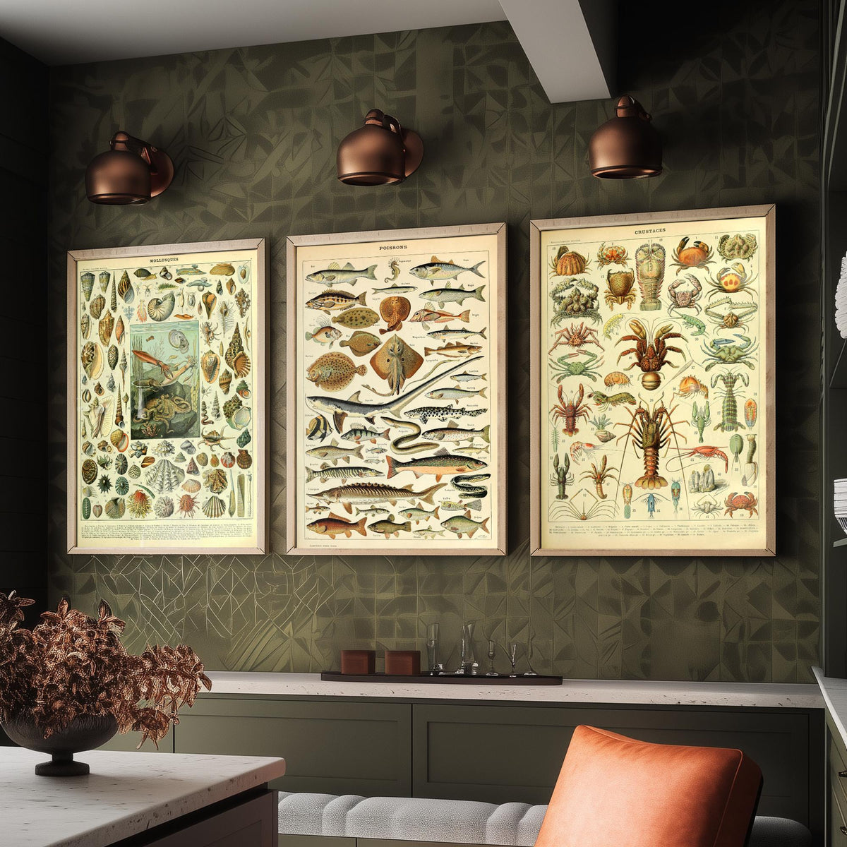 Adolphe Millot Sea Creatures Set of Three Art Prints - Mollusques, Poissons, Crustaces - Vintage Ocean Poster Illustration