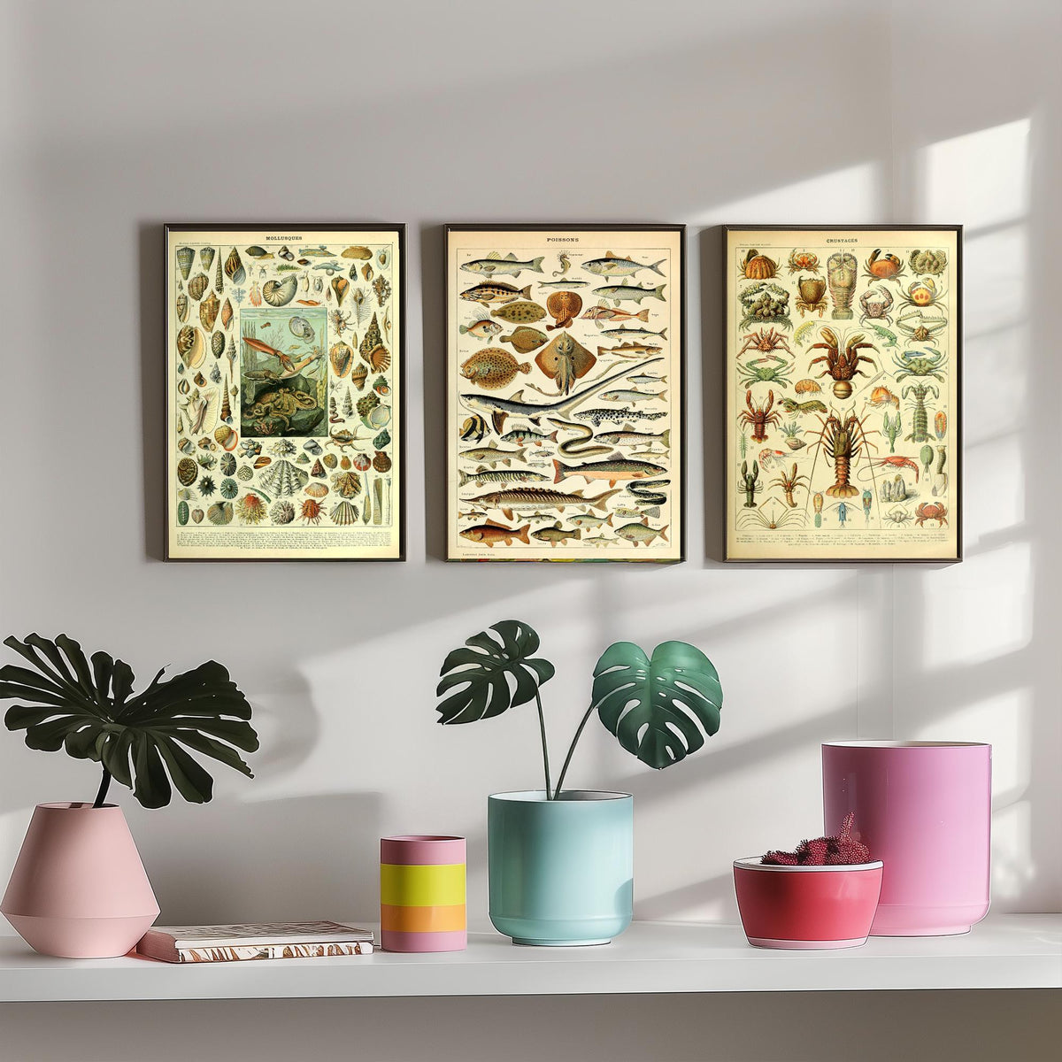 Adolphe Millot Sea Creatures Set of Three Art Prints - Mollusques, Poissons, Crustaces - Vintage Ocean Poster Illustration