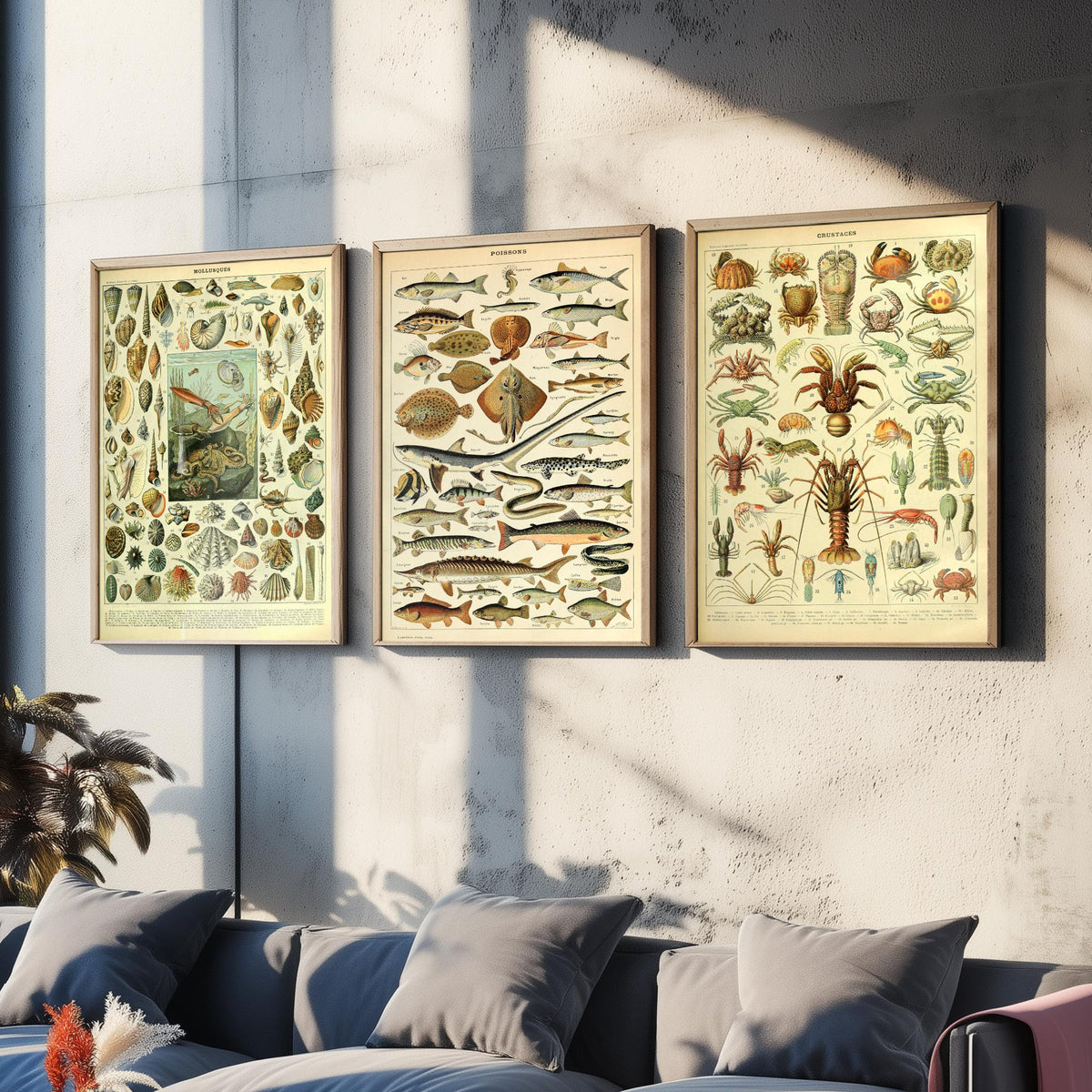 Adolphe Millot Sea Creatures Set of Three Art Prints - Mollusques, Poissons, Crustaces - Vintage Ocean Poster Illustration