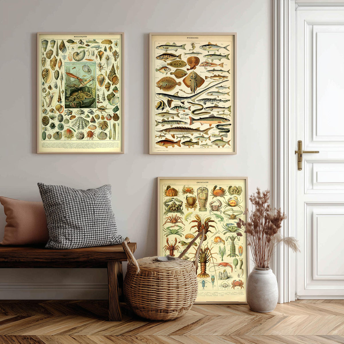 Adolphe Millot Sea Creatures Set of Three Art Prints - Mollusques, Poissons, Crustaces - Vintage Ocean Poster Illustration