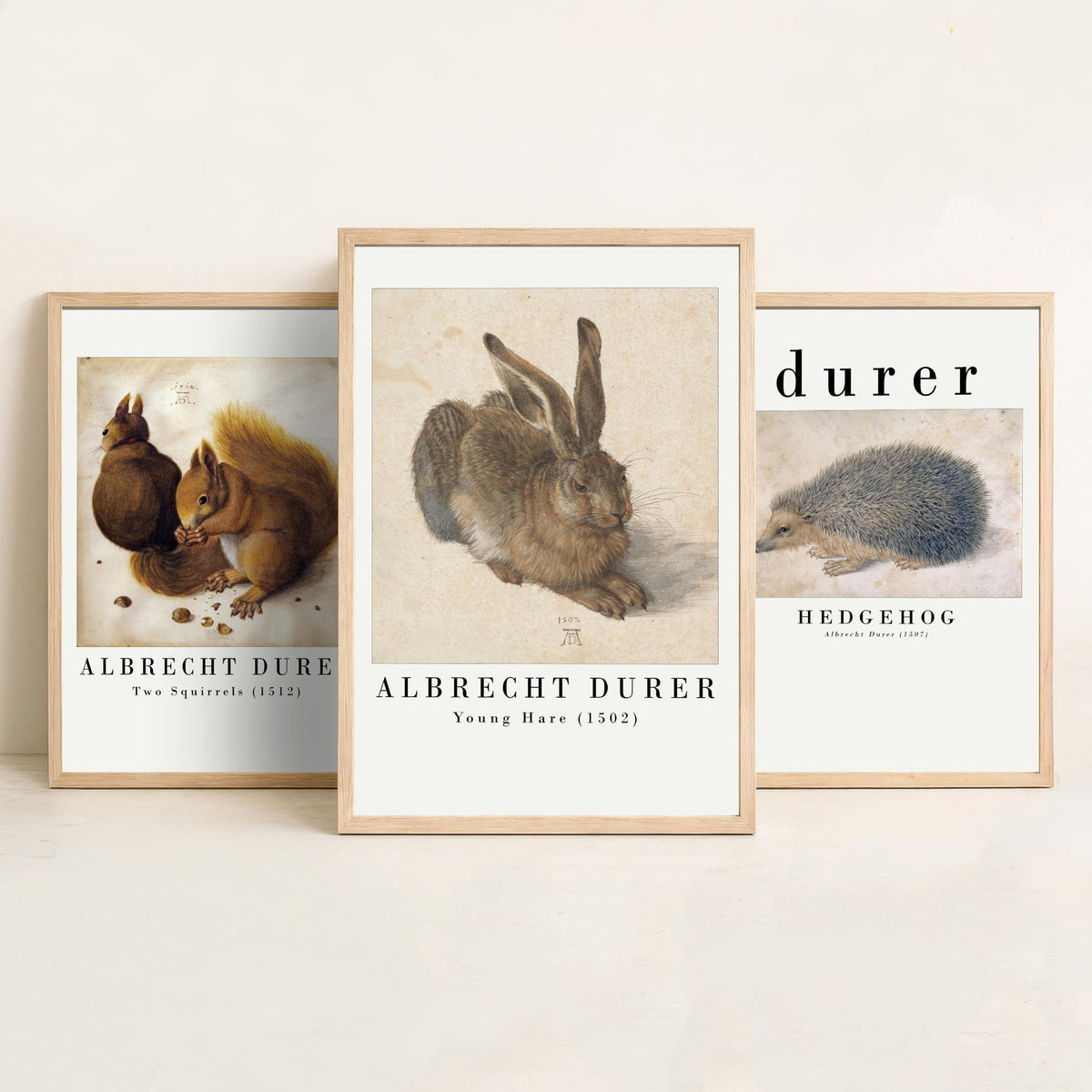 Albrecht Durer Set of Three Art Prints - Two Squirrels, Hedgehog, Young Hare - Watercolour Animal Study Poster