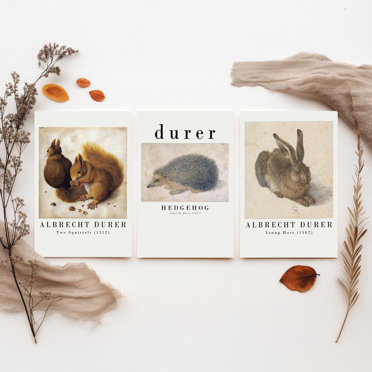 Albrecht Durer Set of Three Art Prints - Two Squirrels, Hedgehog, Young Hare - Watercolour Animal Study Poster
