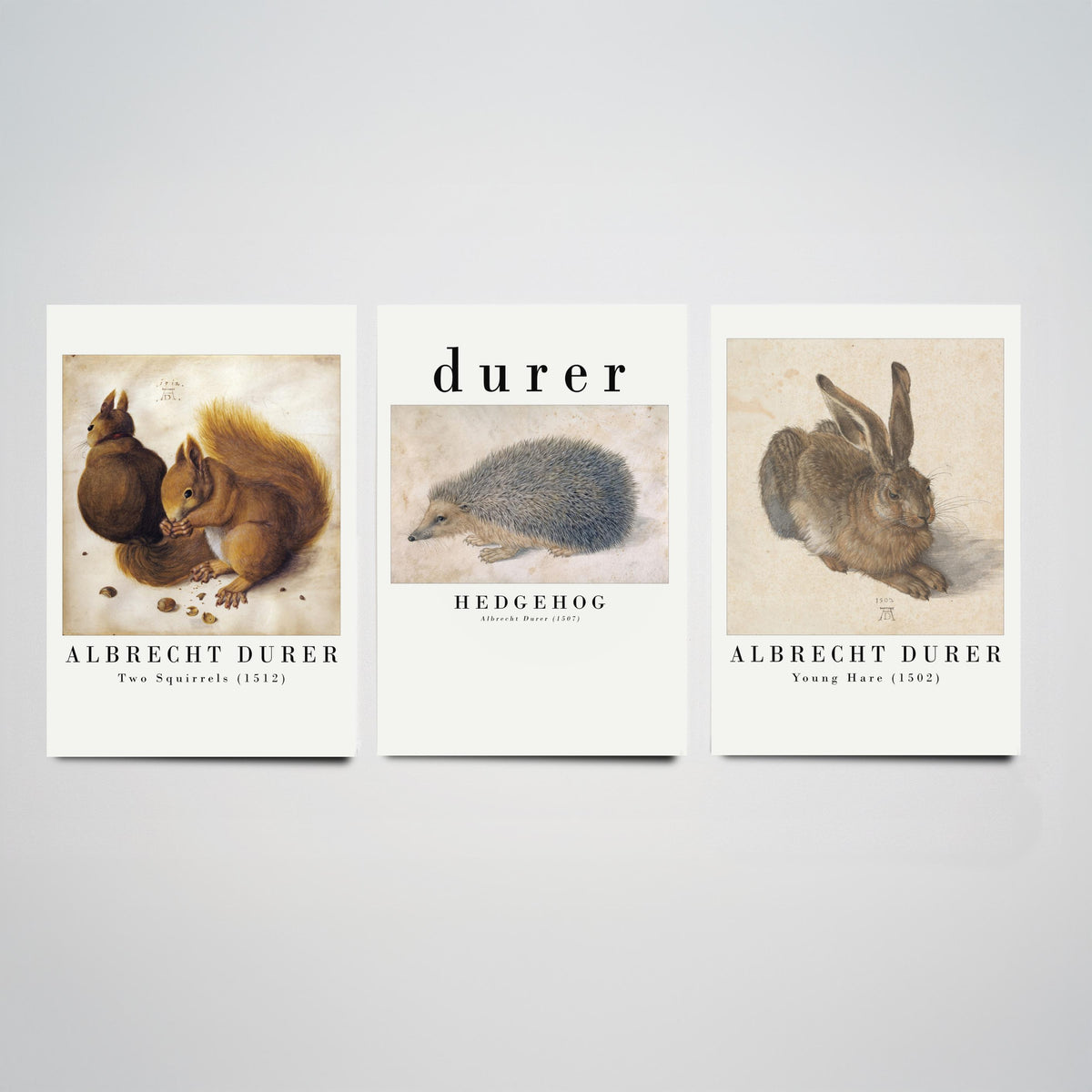 Albrecht Durer Set of Three Art Prints - Two Squirrels, Hedgehog, Young Hare - Watercolour Animal Study Poster
