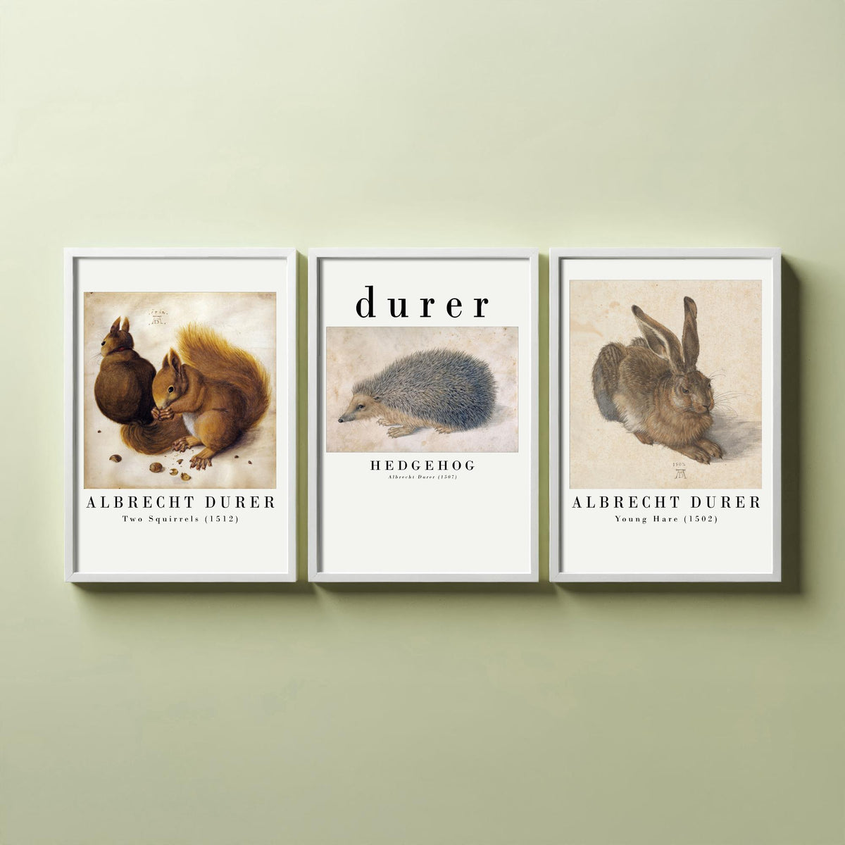 Albrecht Durer Set of Three Art Prints - Two Squirrels, Hedgehog, Young Hare - Watercolour Animal Study Poster