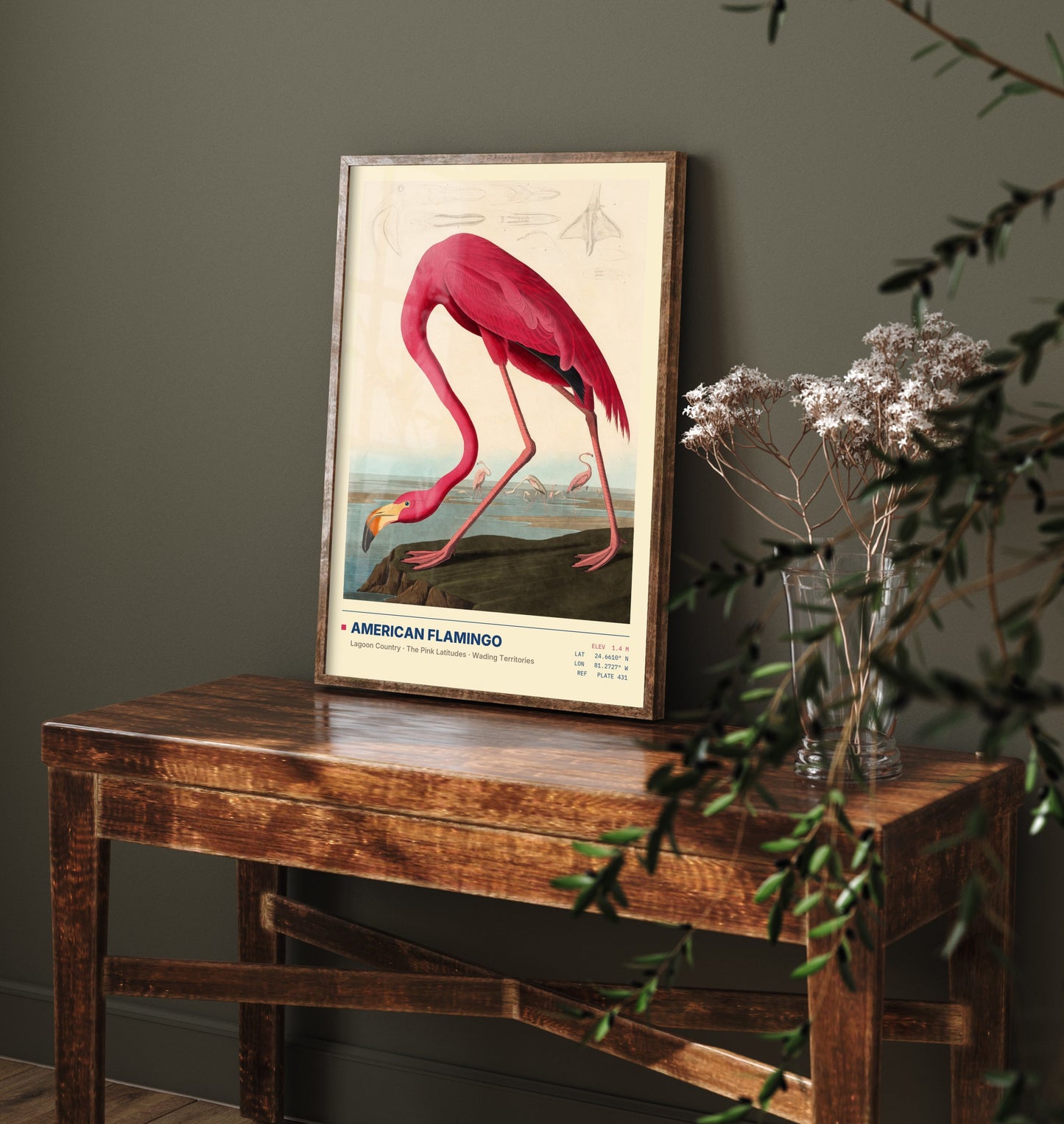 American Flamingo Art Print - Audubon Style Bird Illustration - Vintage Natural History Poster - Pink Wall Art