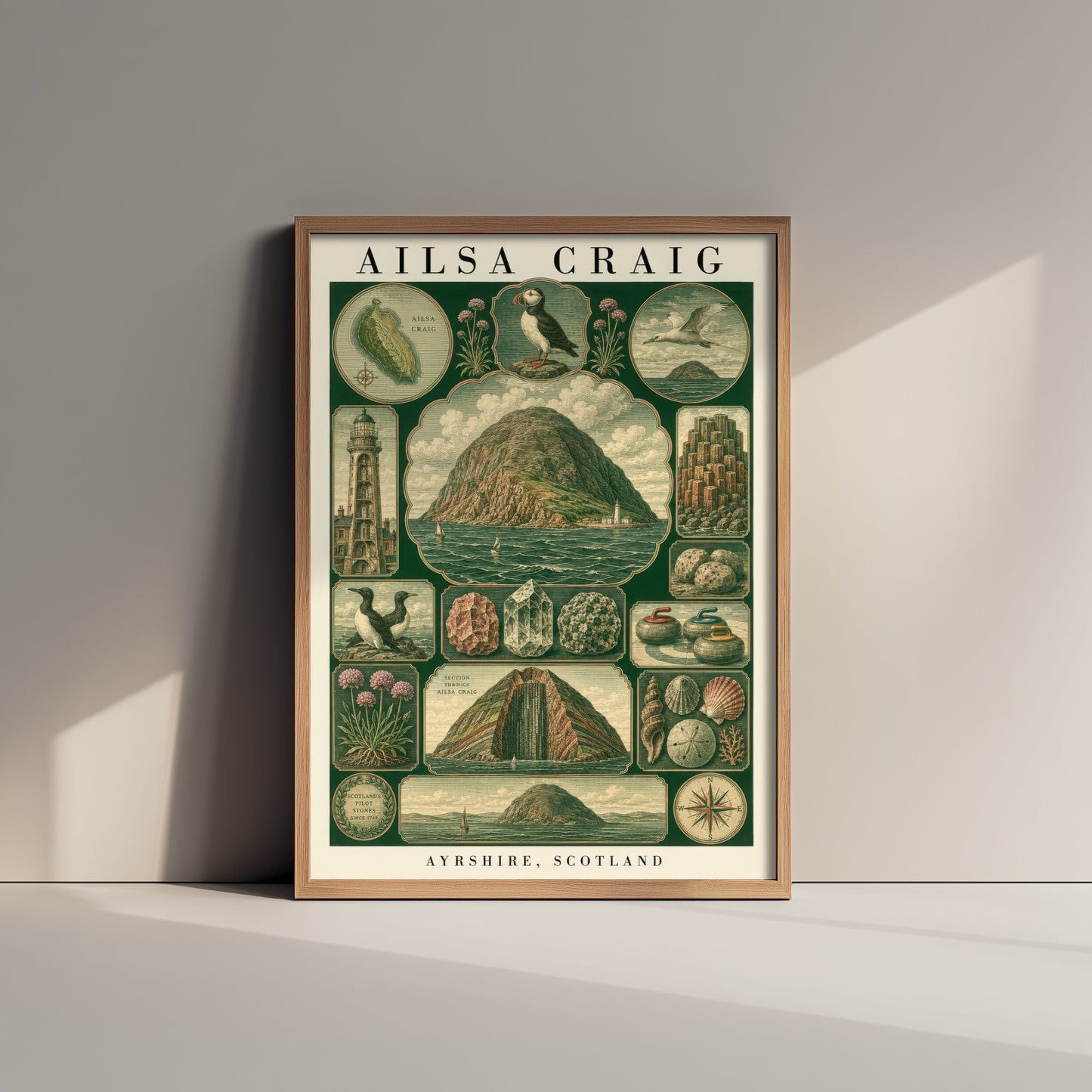 Ailsa Craig Art Print - Ayrshire Scotland Poster - Vintage Natural History Illustration - Antique Puffin Plate 2/3