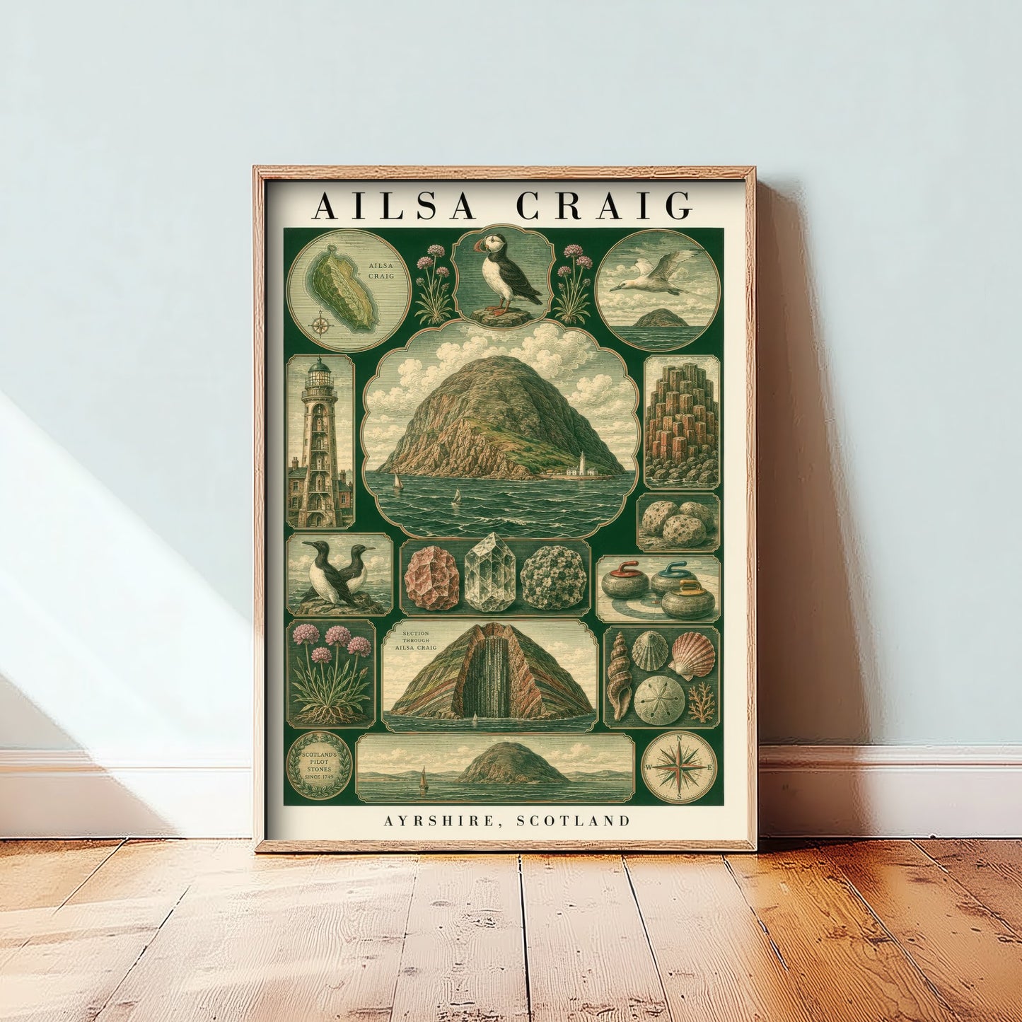 Ailsa Craig Art Print - Ayrshire Scotland Poster - Vintage Natural History Illustration - Antique Puffin Plate 2/3