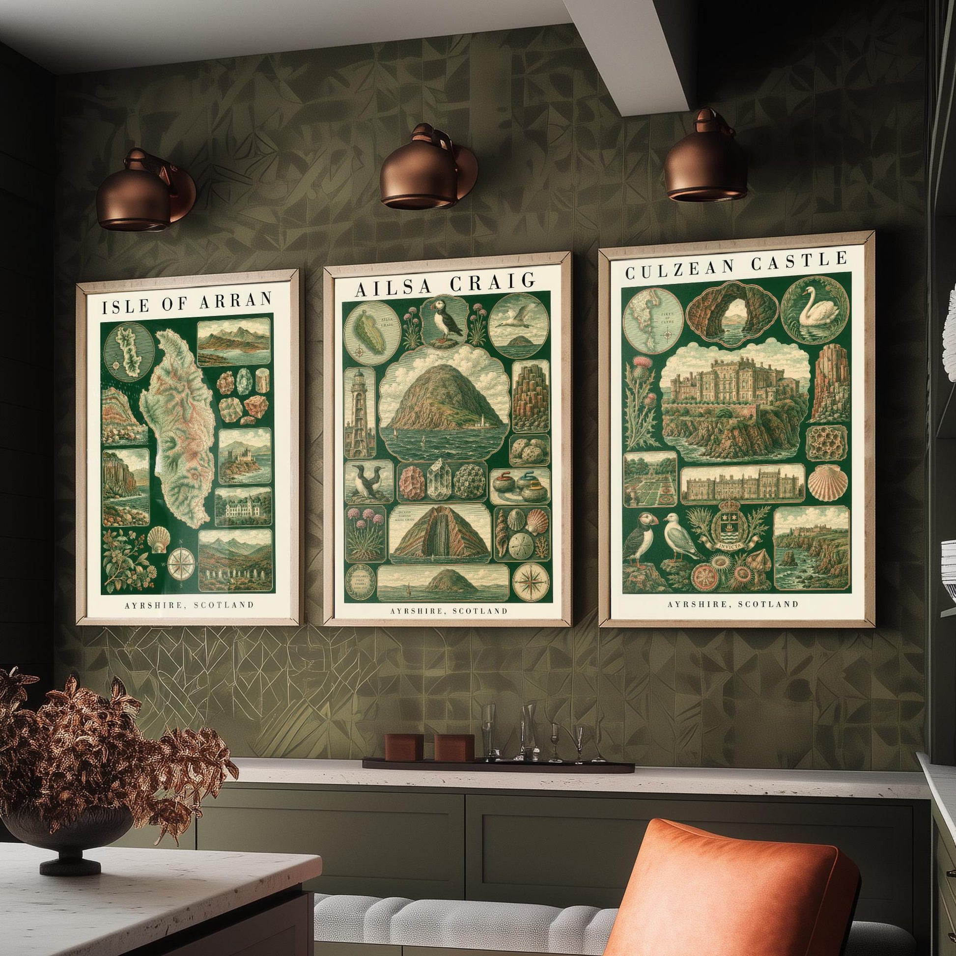 Ayrshire Scotland Set of Three Art Prints - Isle of Arran, Ailsa Craig, Culzean Castle - Vintage Natural History Chart Posters - Drawing