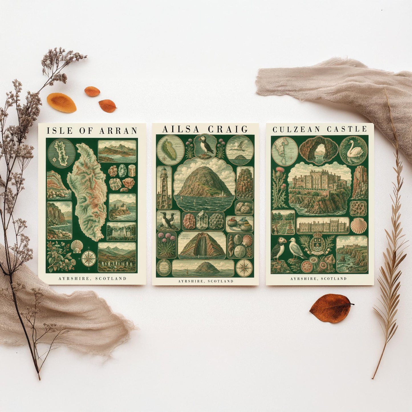 Ayrshire Scotland Set of Three Art Prints - Isle of Arran, Ailsa Craig, Culzean Castle - Vintage Natural History Chart Posters - Drawing