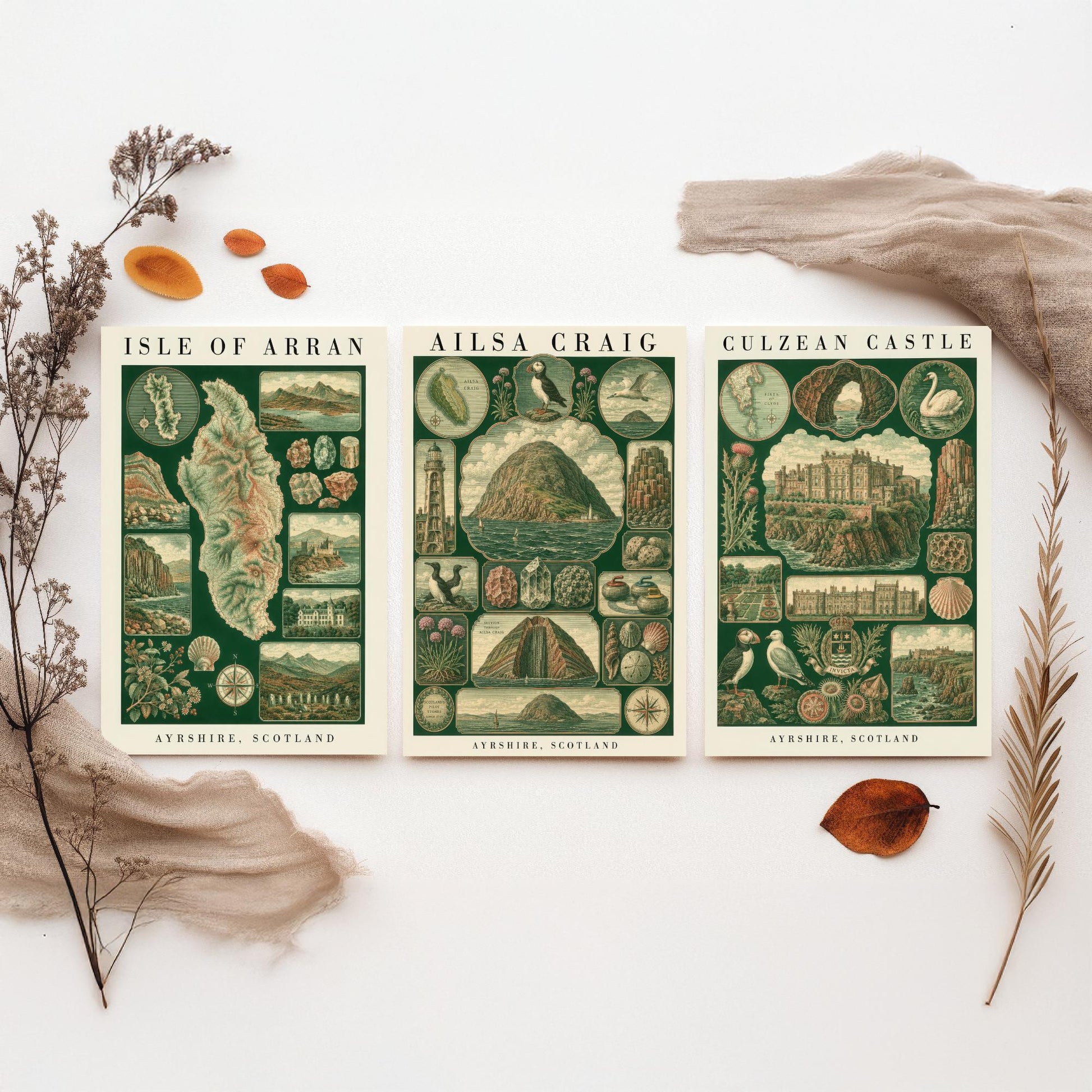 Ayrshire Scotland Set of Three Art Prints - Isle of Arran, Ailsa Craig, Culzean Castle - Vintage Natural History Chart Posters - Drawing