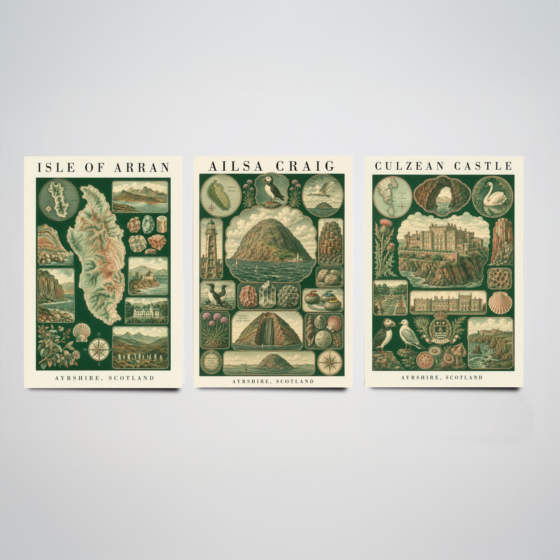 Ayrshire Scotland Set of Three Art Prints - Isle of Arran, Ailsa Craig, Culzean Castle - Vintage Natural History Chart Posters - Drawing
