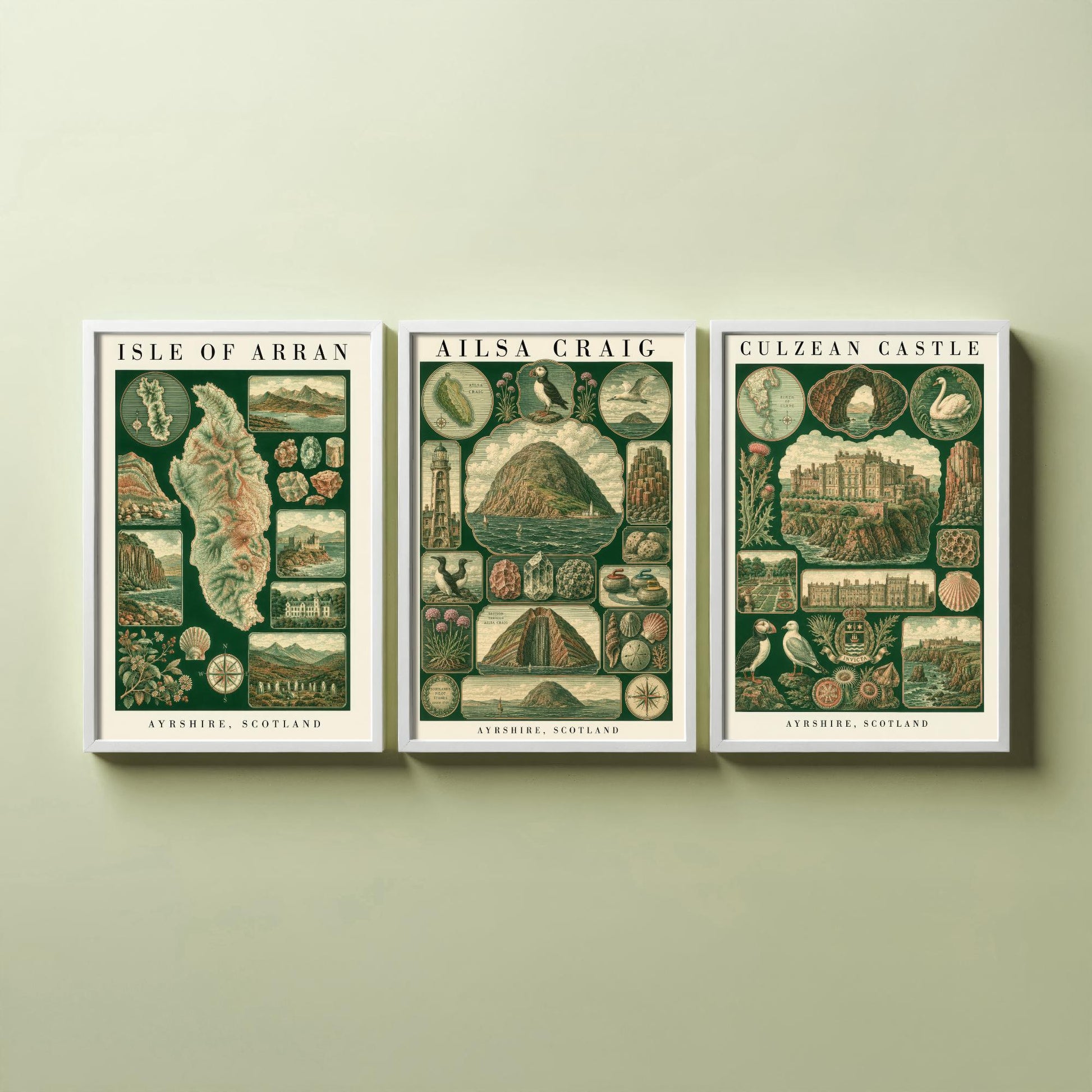 Ayrshire Scotland Set of Three Art Prints - Isle of Arran, Ailsa Craig, Culzean Castle - Vintage Natural History Chart Posters - Drawing