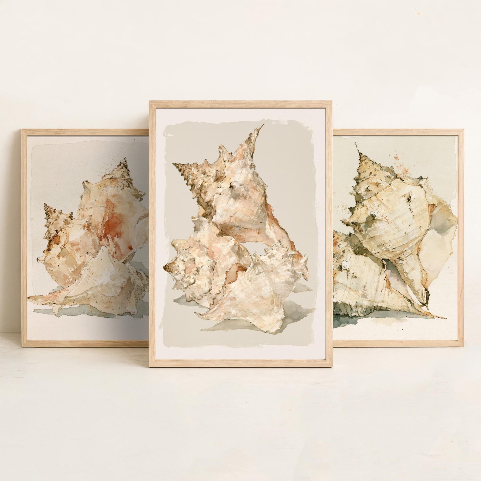 Beige Coastal Seashells Set of Three Art Prints - Conch and Murex Shell Studies - Neutral Watercolour Posters - Coastal Painting
