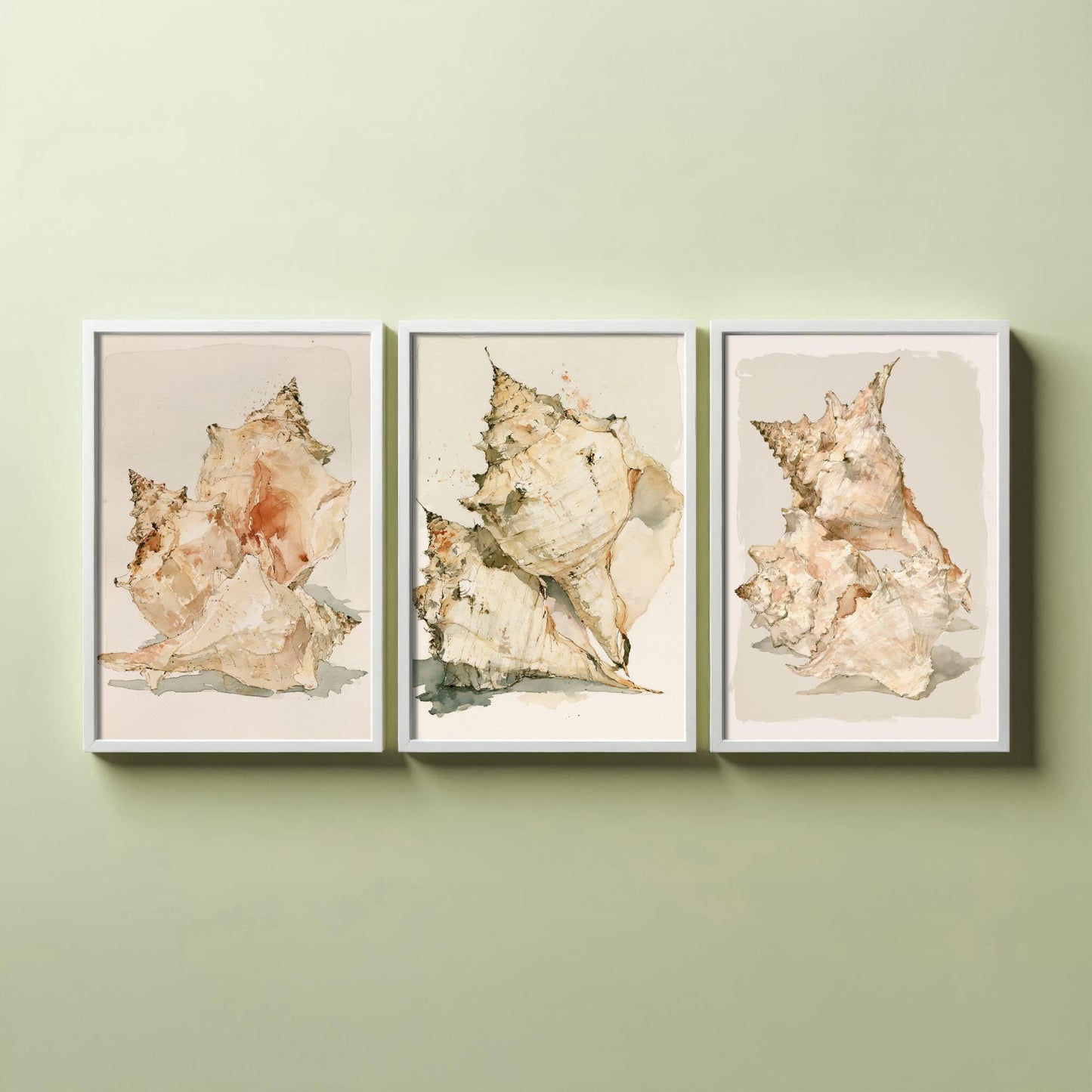 Beige Coastal Seashells Set of Three Art Prints - Conch and Murex Shell Studies - Neutral Watercolour Posters - Coastal Painting