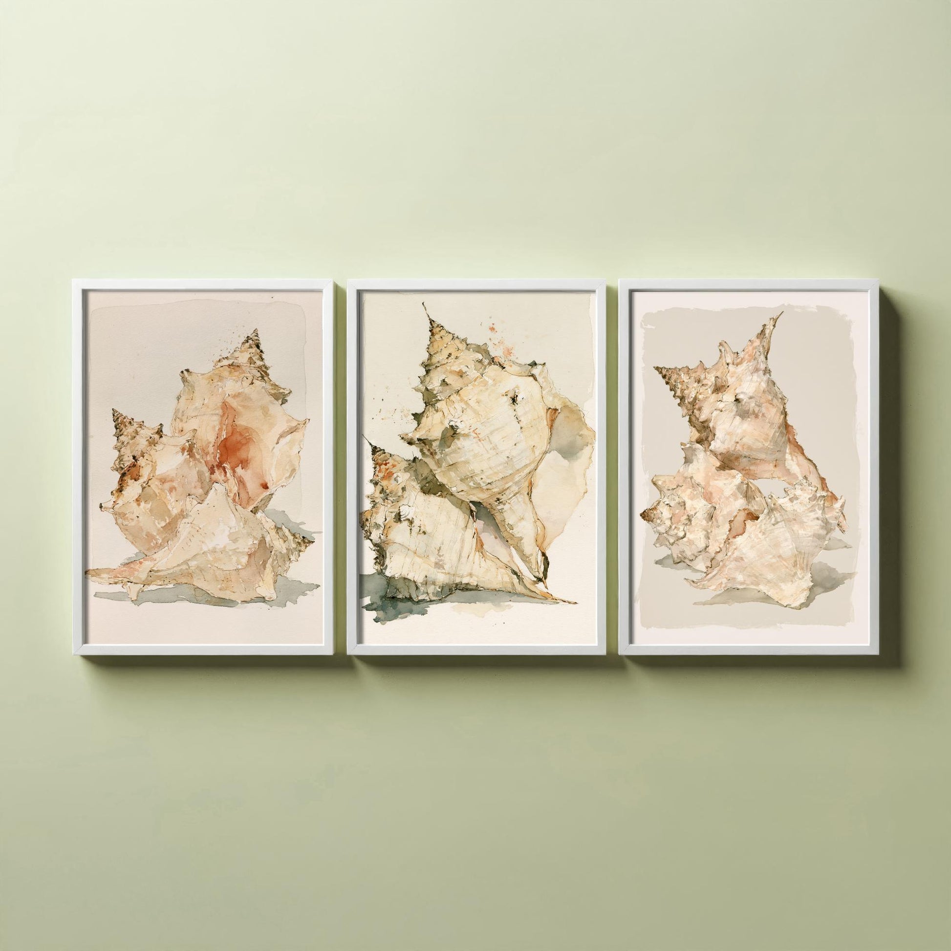 Beige Coastal Seashells Set of Three Art Prints - Conch and Murex Shell Studies - Neutral Watercolour Posters - Coastal Painting