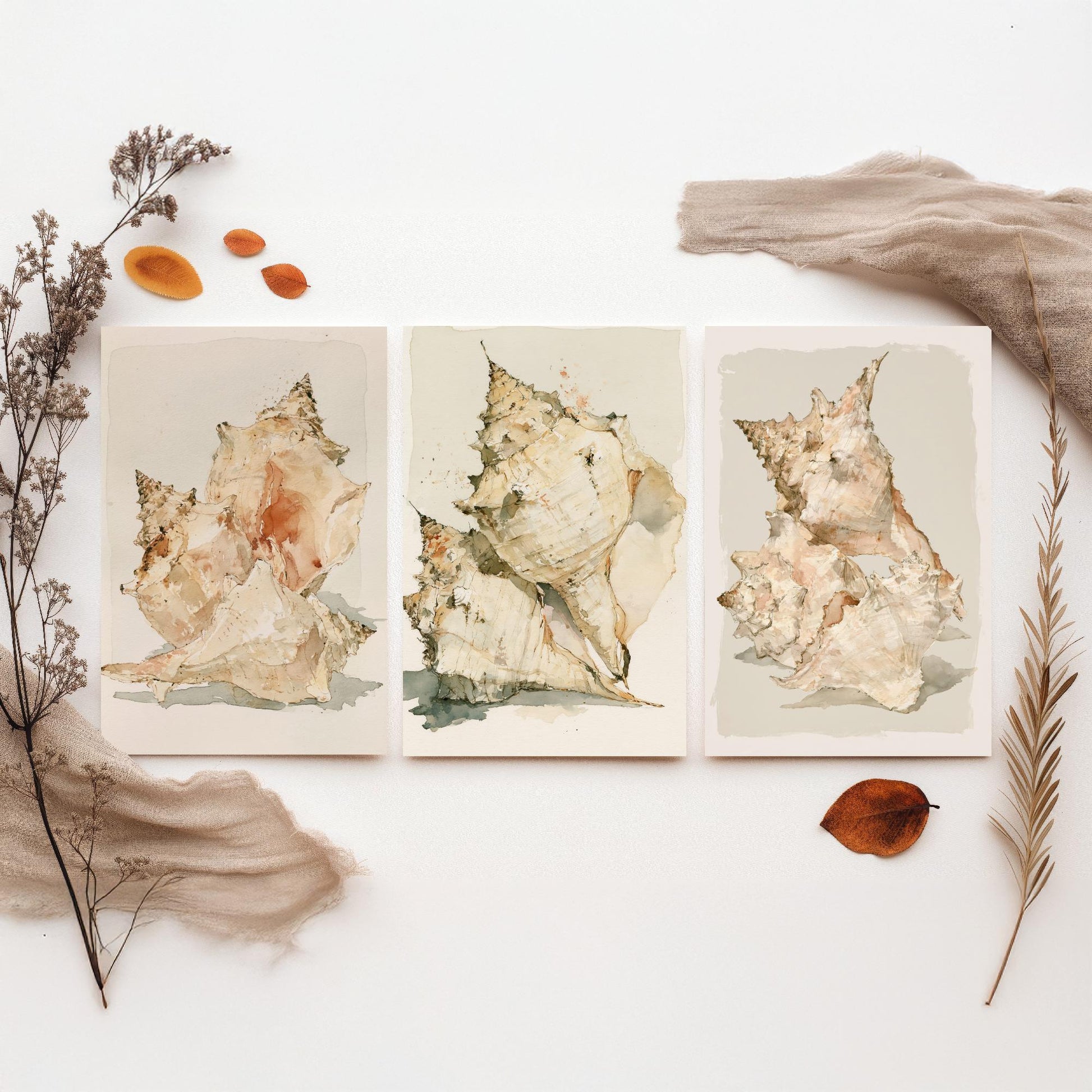 Beige Coastal Seashells Set of Three Art Prints - Conch and Murex Shell Studies - Neutral Watercolour Posters - Coastal Painting