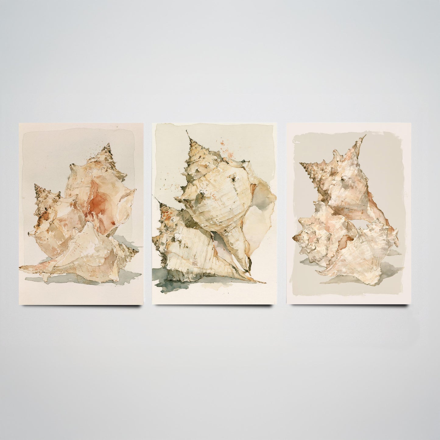 Beige Coastal Seashells Set of Three Art Prints - Conch and Murex Shell Studies - Neutral Watercolour Posters - Coastal Painting
