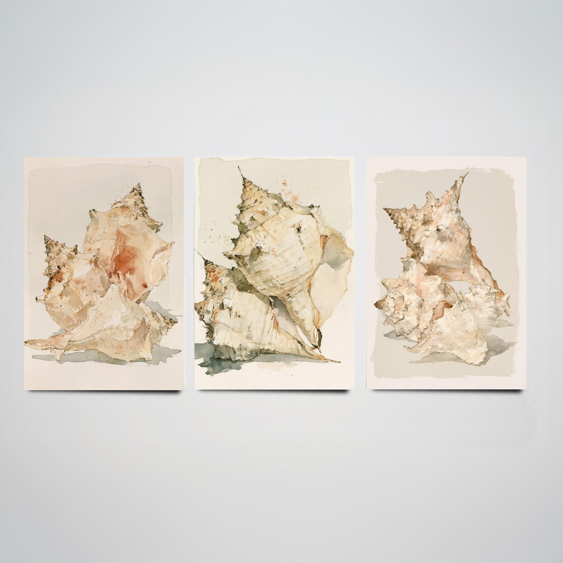 Beige Coastal Seashells Set of Three Art Prints - Conch and Murex Shell Studies - Neutral Watercolour Posters - Coastal Painting