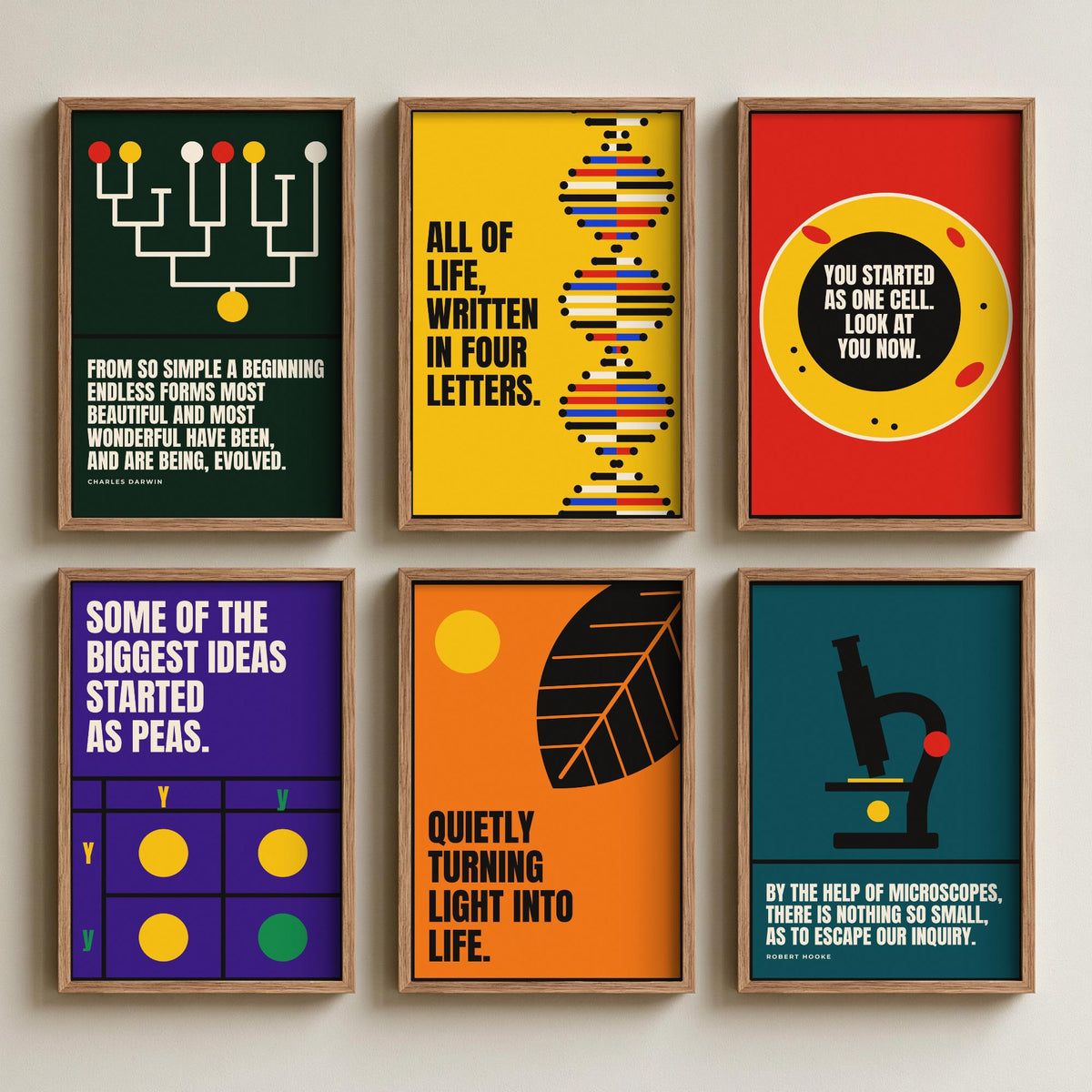 Set of Six Biology Quote Art Prints - 6 Bauhaus Nature Science Posters - Minimalist Science Illustration - DNA, Microscope, Evolution