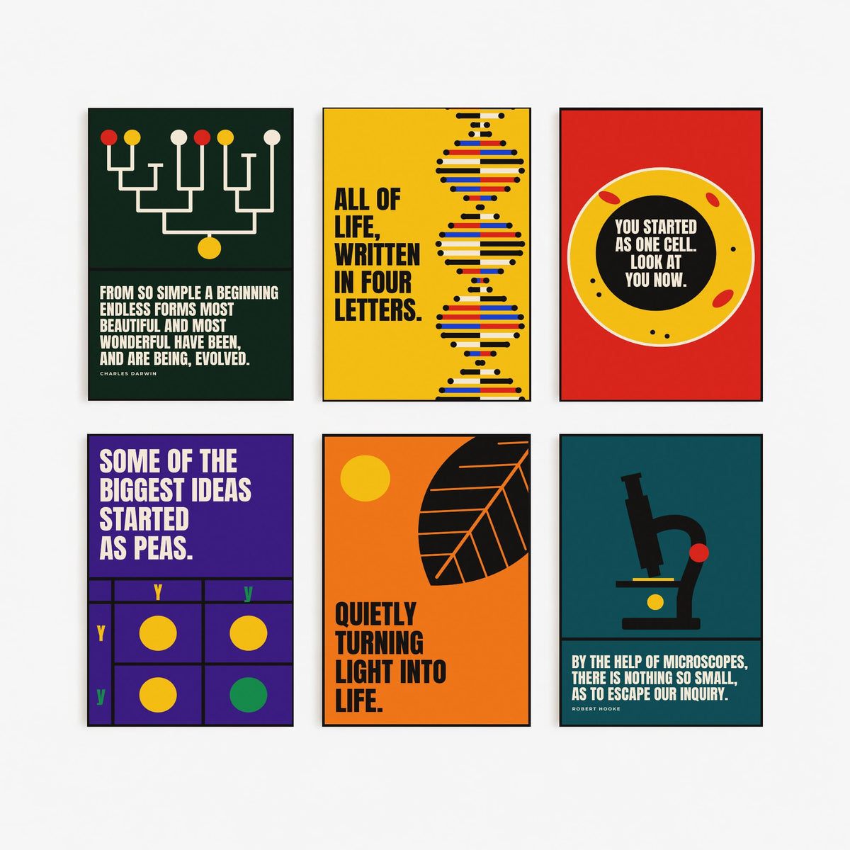 Set of Six Biology Quote Art Prints - 6 Bauhaus Nature Science Posters - Minimalist Science Illustration - DNA, Microscope, Evolution